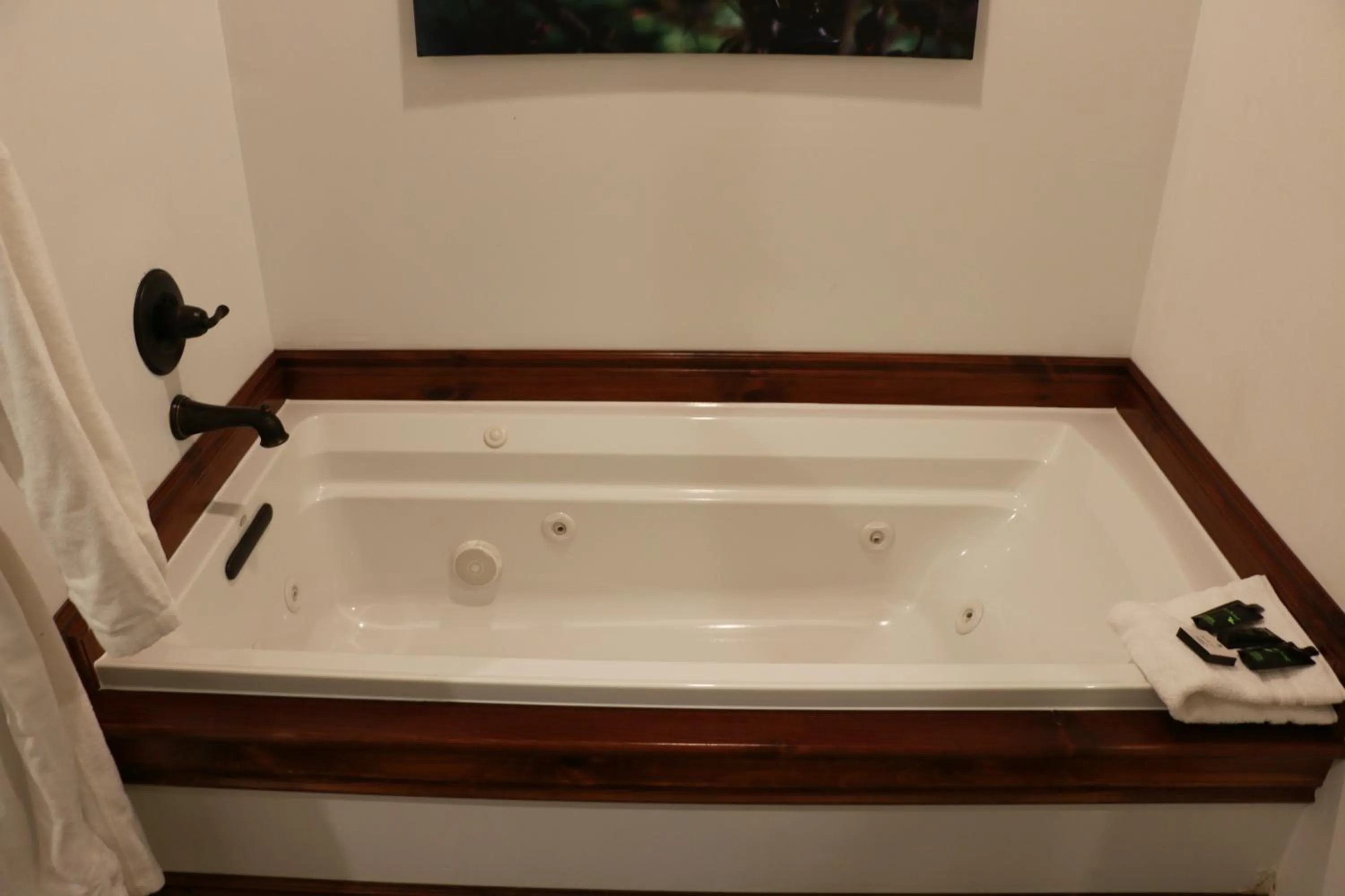 Landoll's Mohican Castle