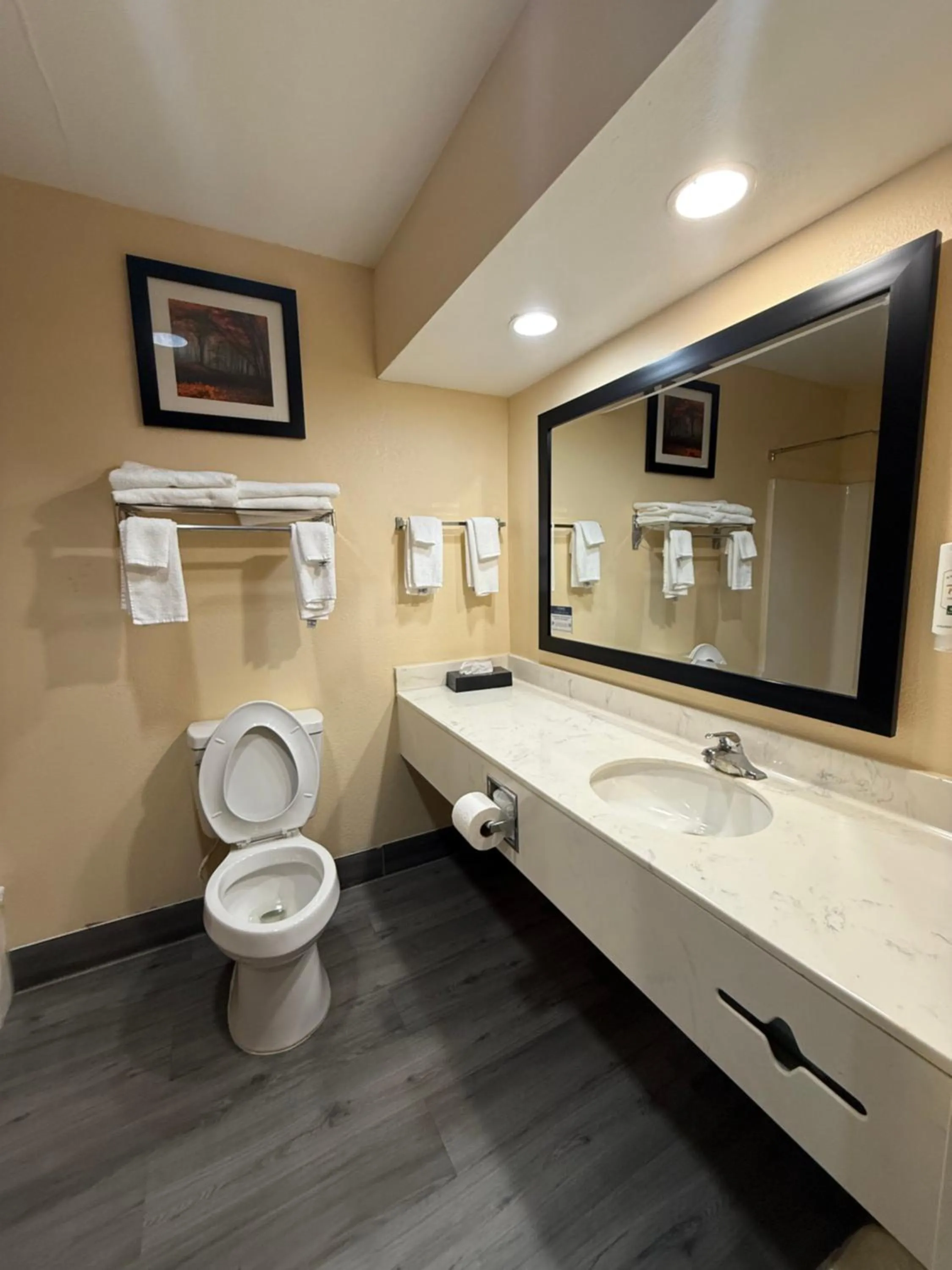 Toilet in Quality Inn & Suites Exmore - Eastern Shore