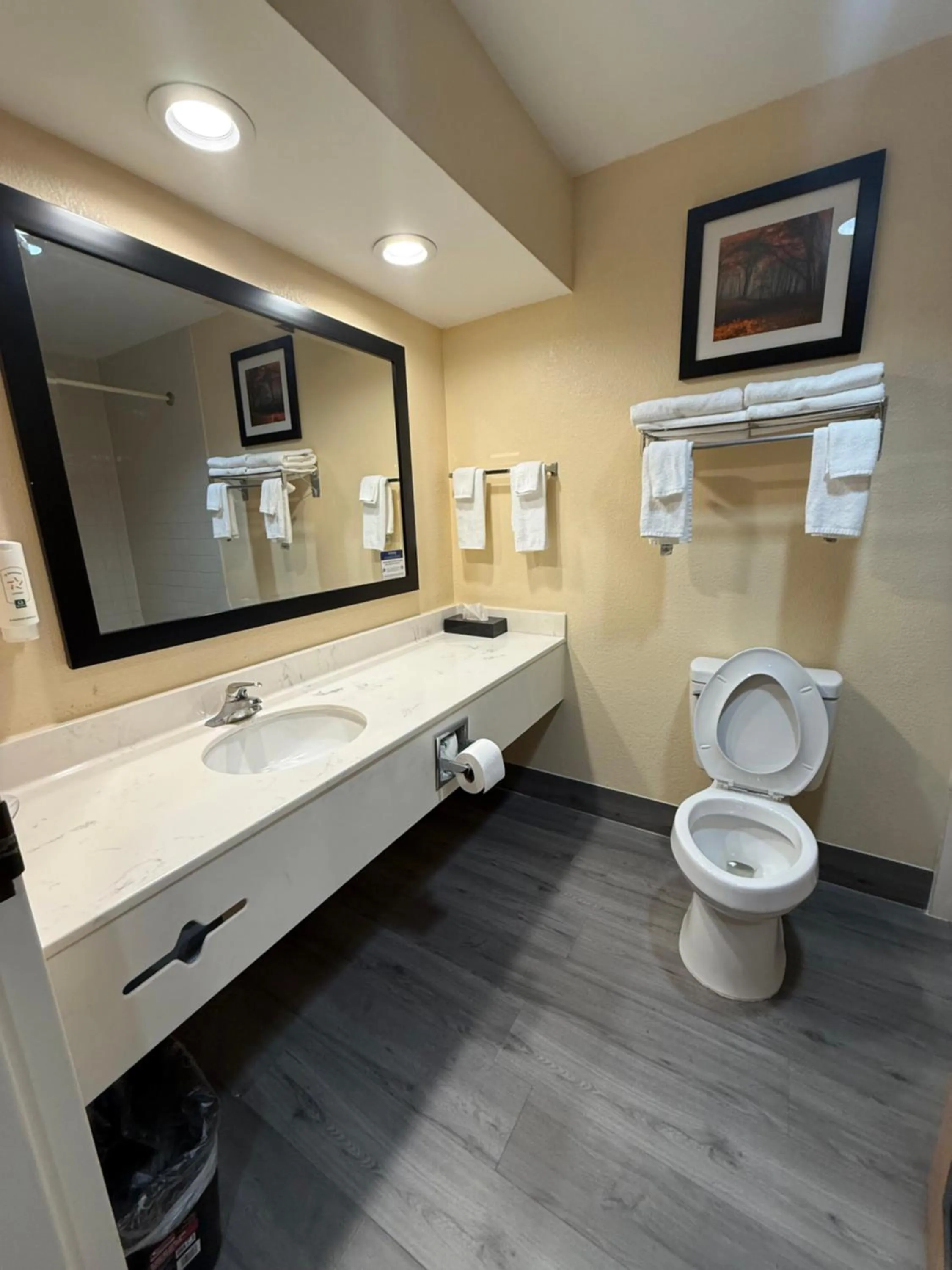 Bathroom in Quality Inn & Suites Exmore - Eastern Shore