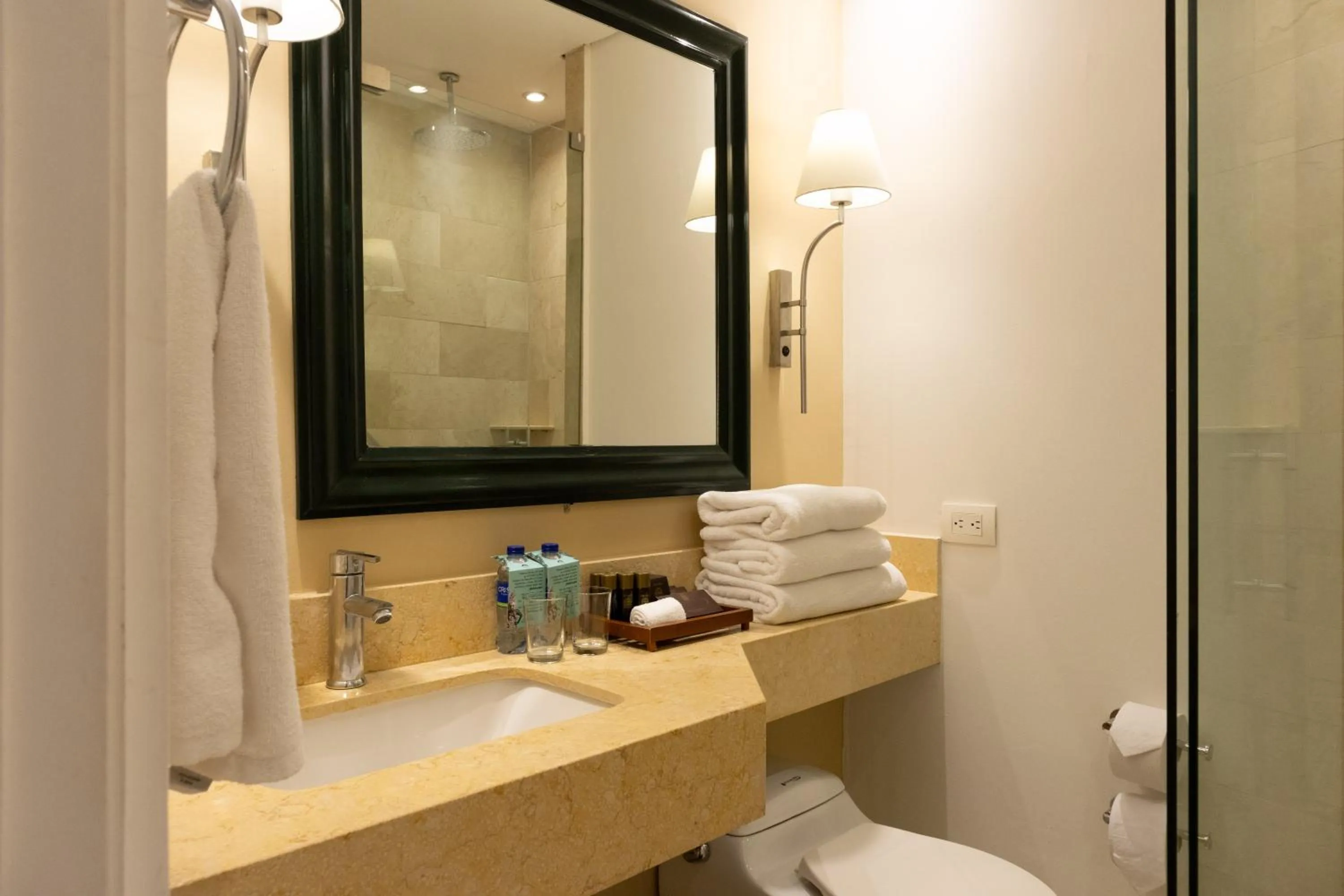 Toilet in Hotel Caribe by Faranda Grand, a member of Radisson Individuals