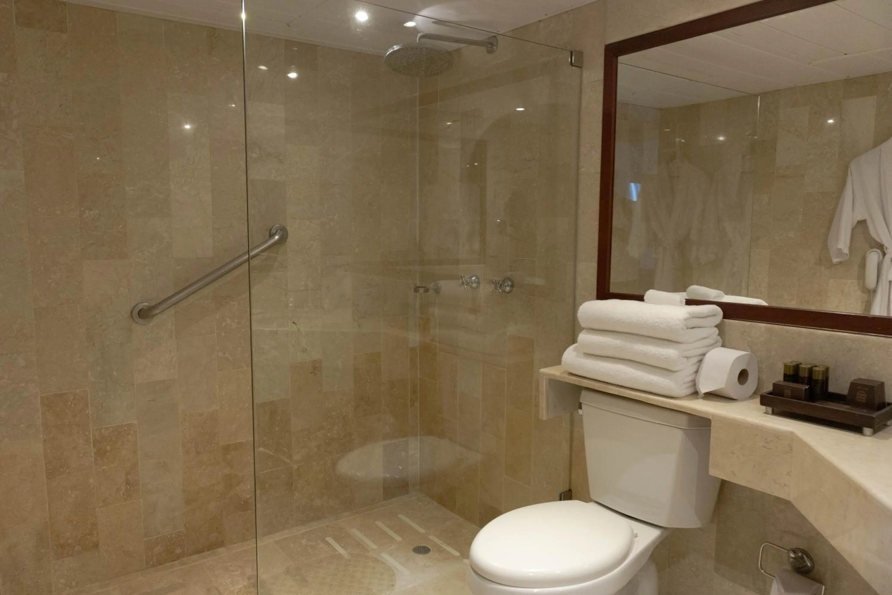 Toilet in Hotel Caribe by Faranda Grand, a member of Radisson Individuals