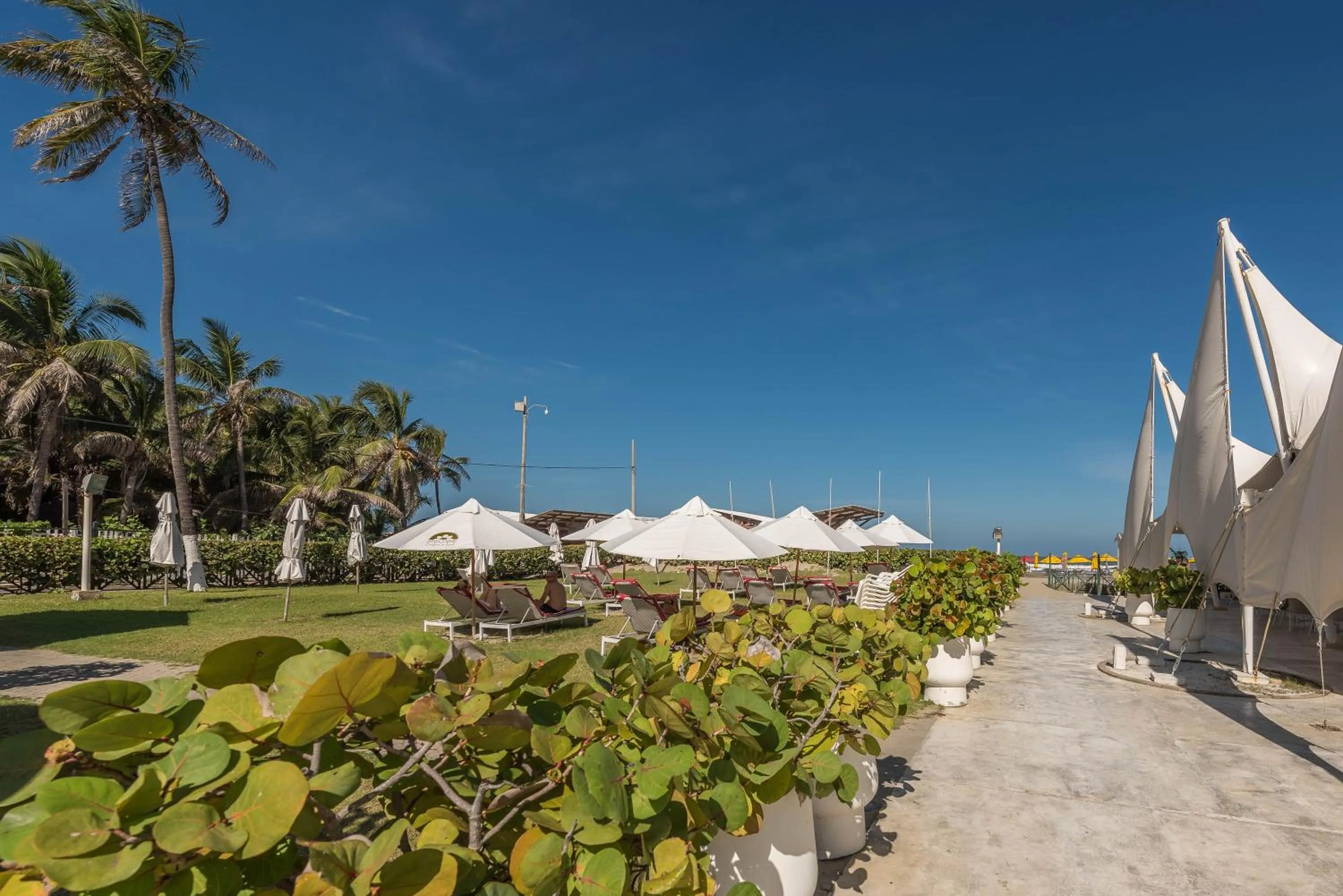 Restaurant/places to eat in Hotel Caribe by Faranda Grand, a member of Radisson Individuals