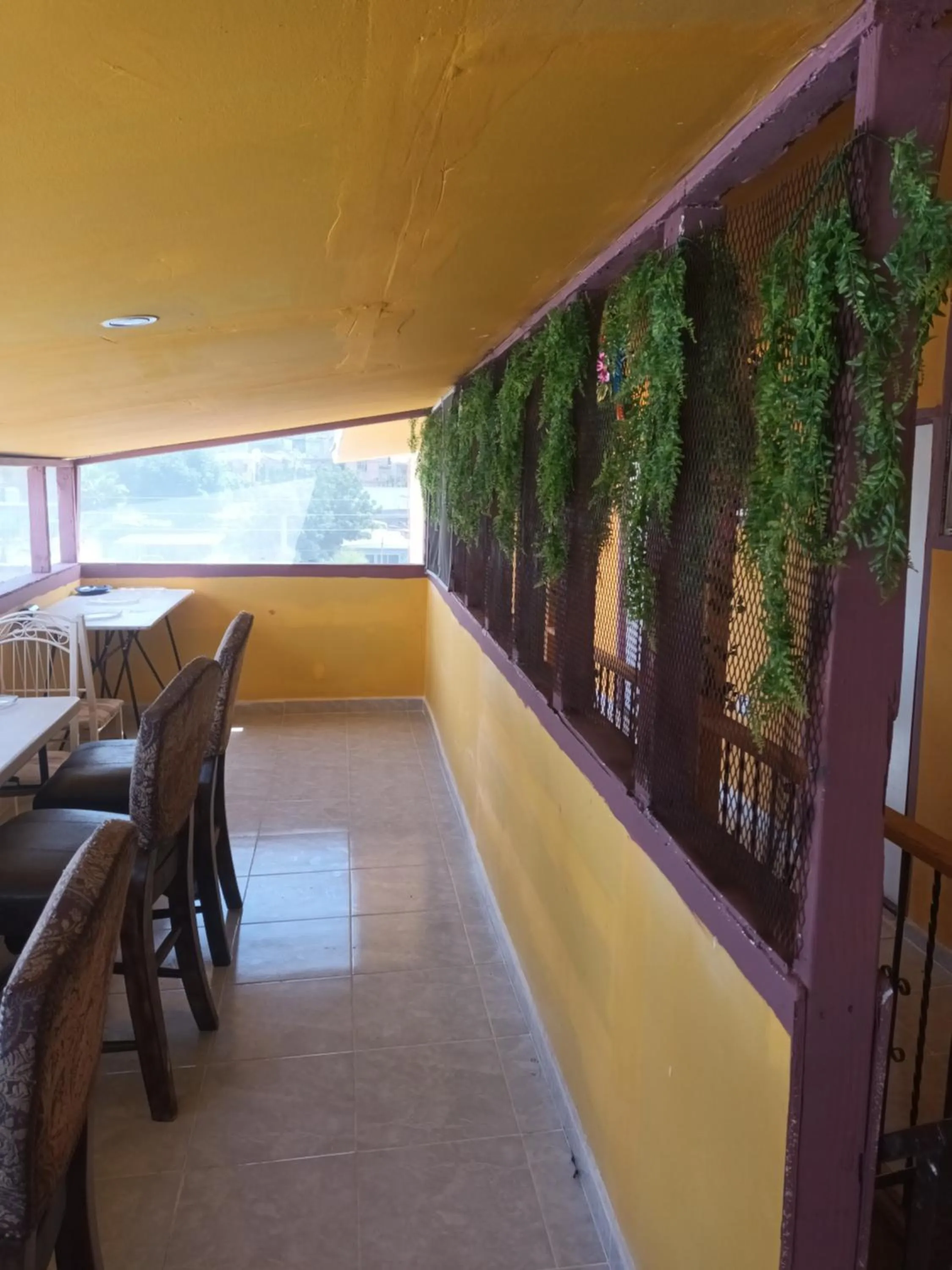 Balcony/Terrace in Hospedaje Barato Mi Casita de Colores