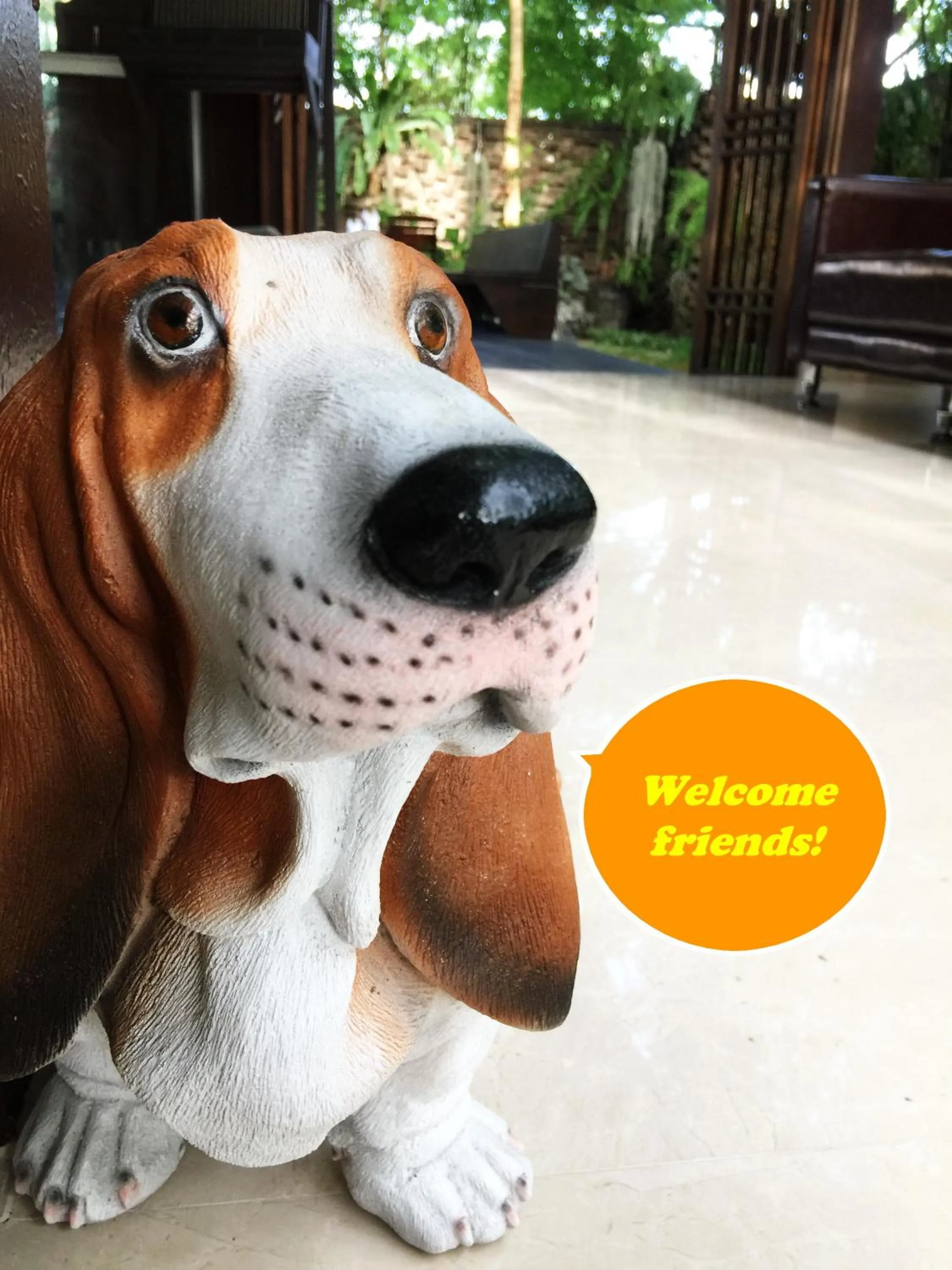 Pets in 3B Boutique Hotel