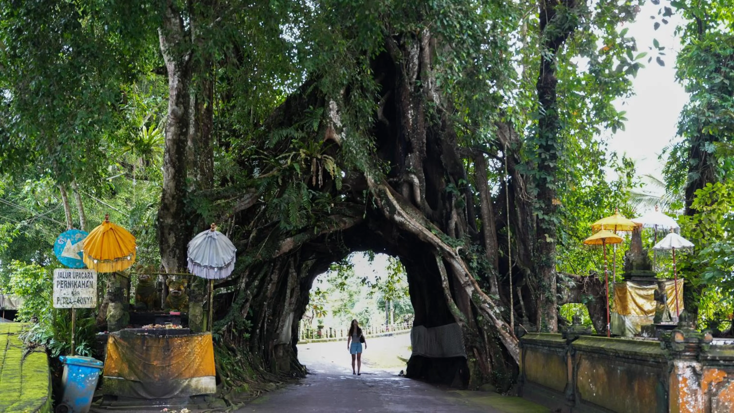 Activities in Kelapa Retreat & Spa