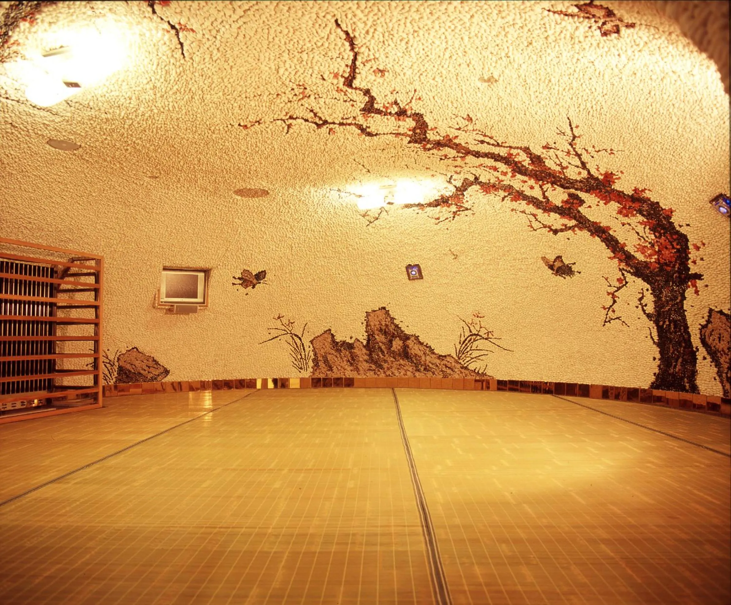 Spa and wellness centre/facilities in Nongshim Hotel