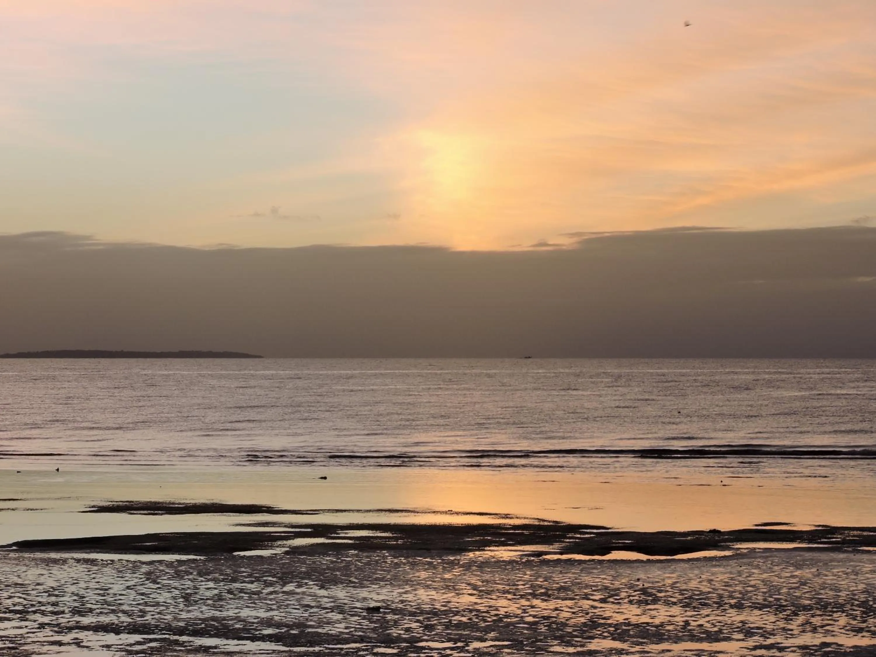 Summer in The Whitehouse by the Sea