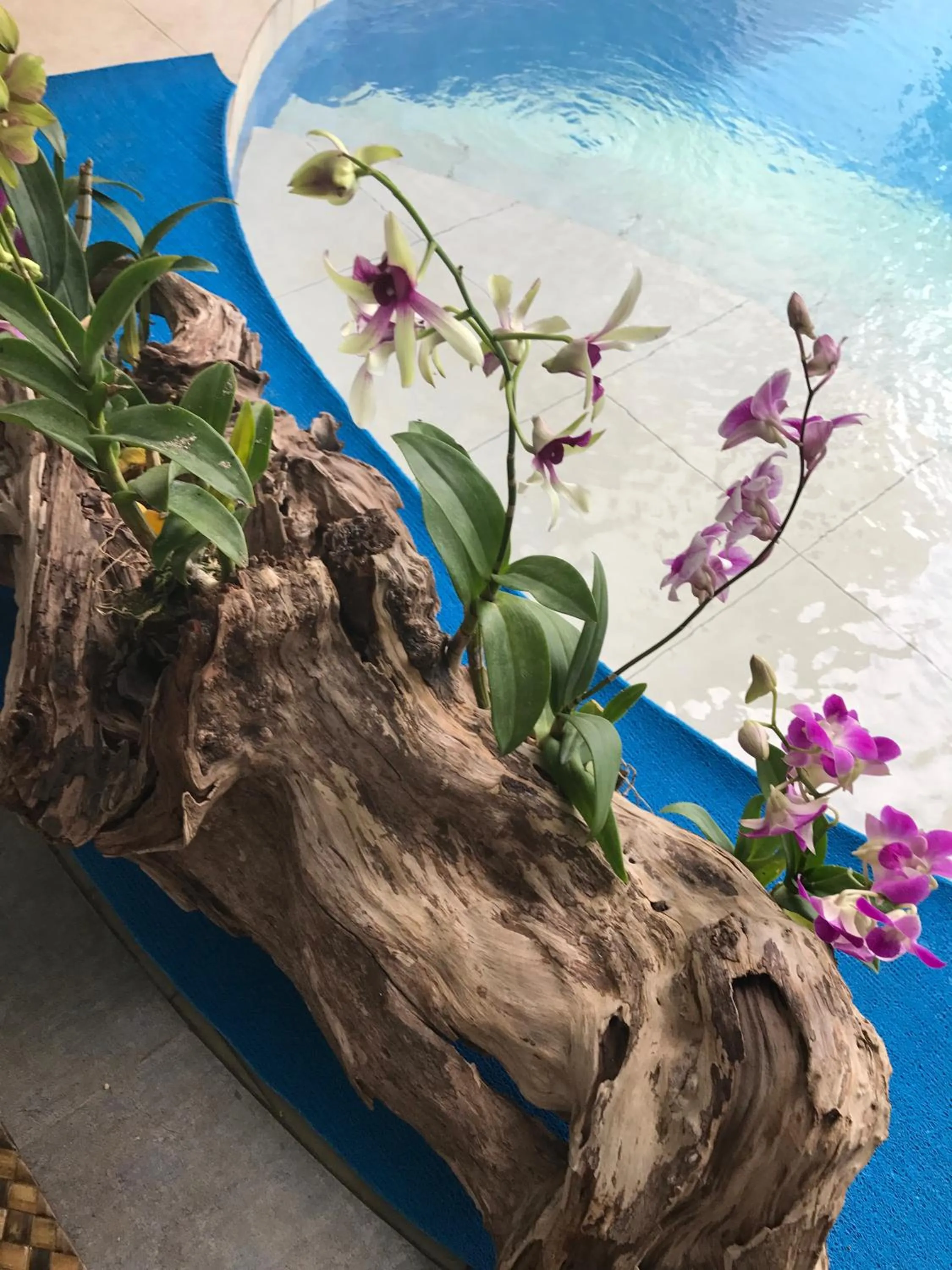 Decorative detail in The Whitehouse by the Sea