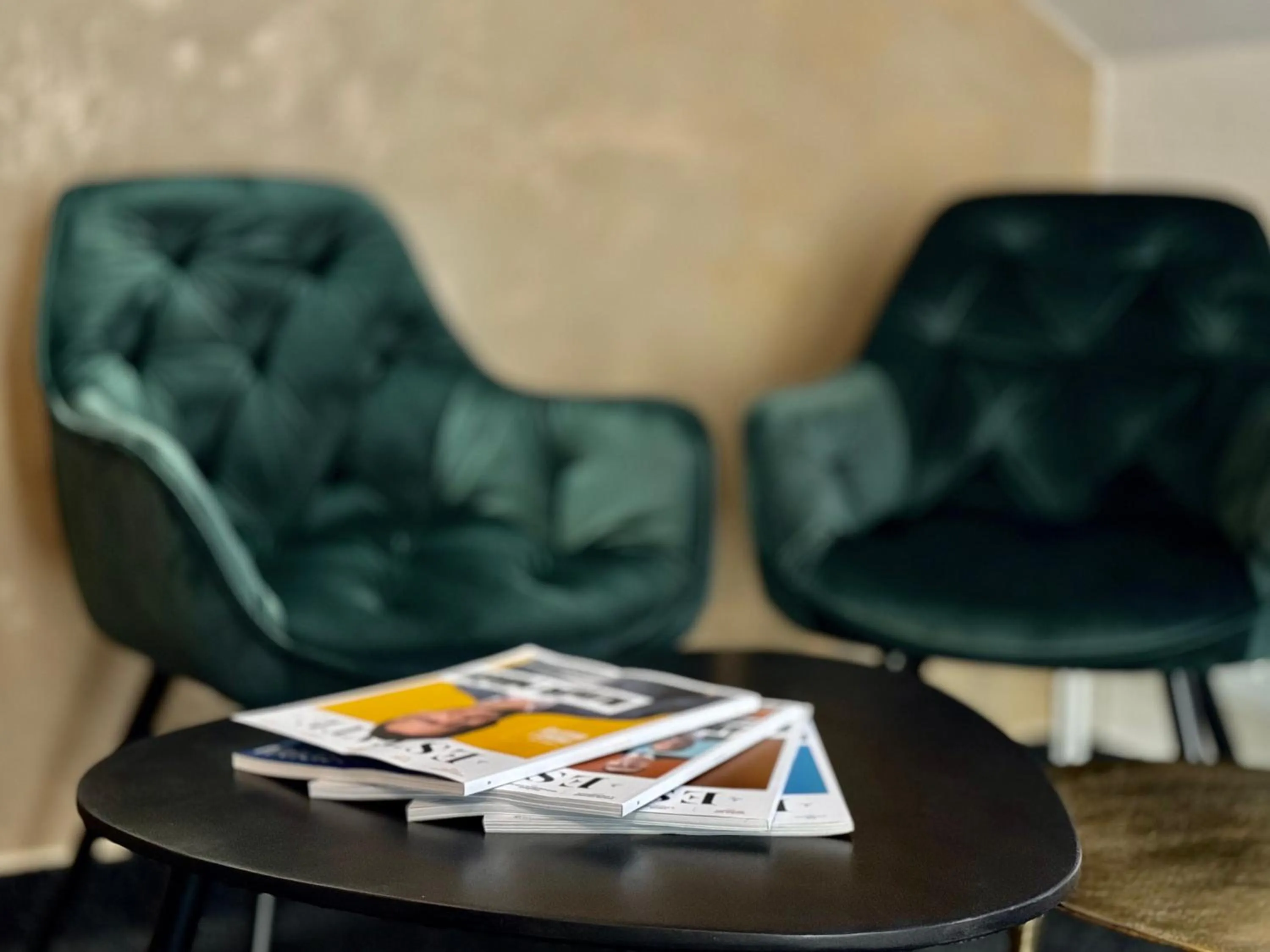 Seating area in Hotel U Vlašského Dvora