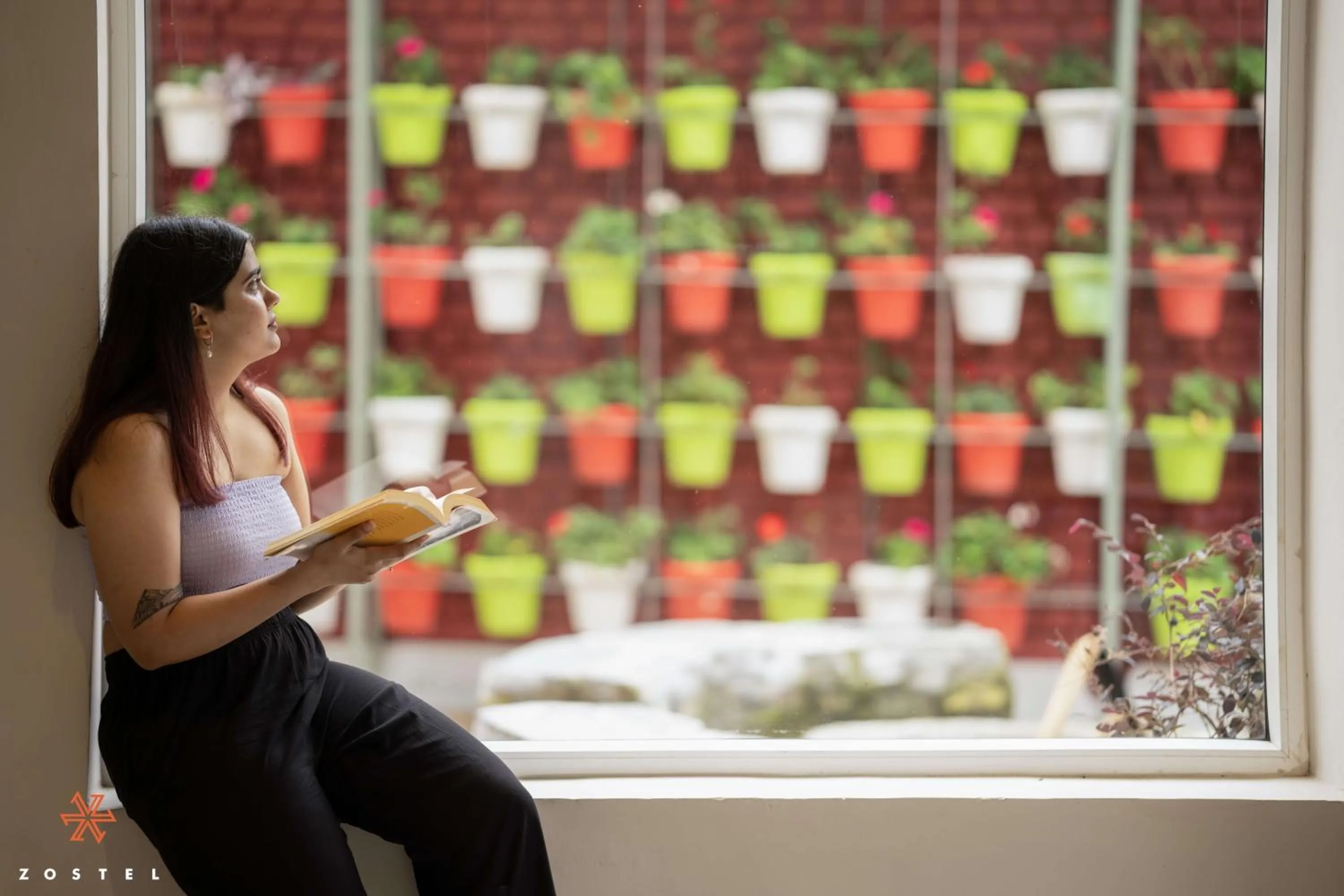 Garden in Zostel Dharamkot