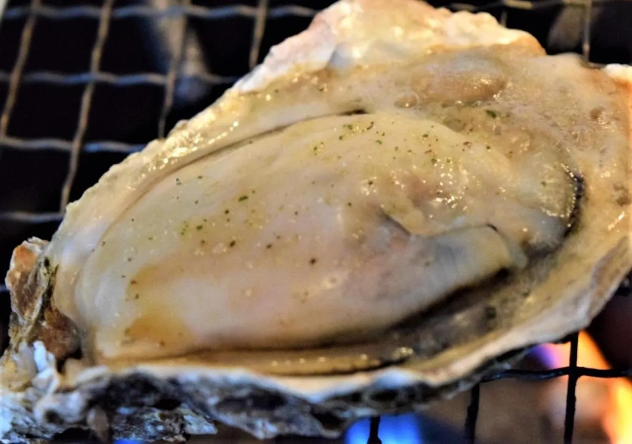 Food close-up in Hiroshima Hostel EN