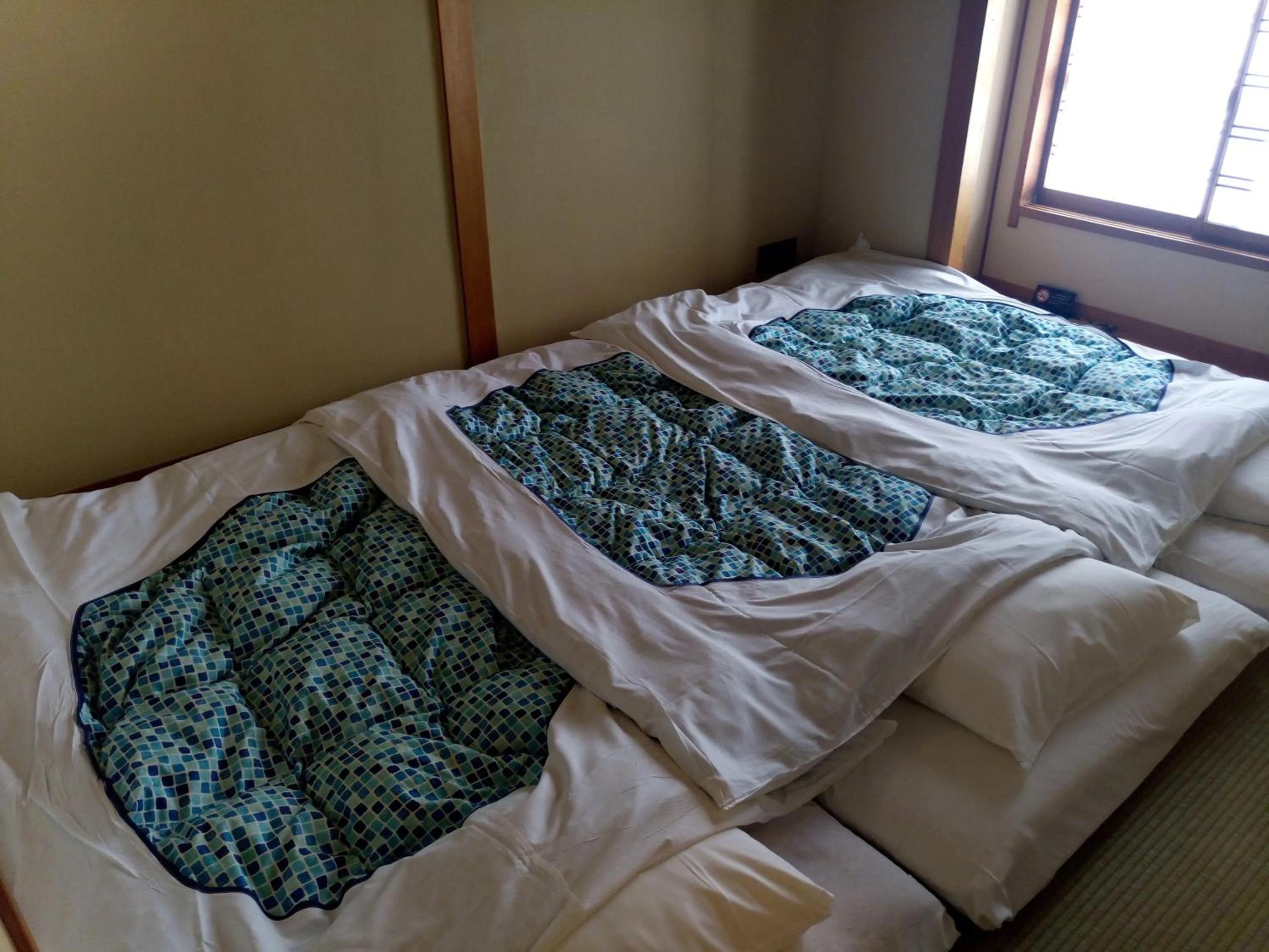 Photo of the whole room, Bed in Hotel Edoya