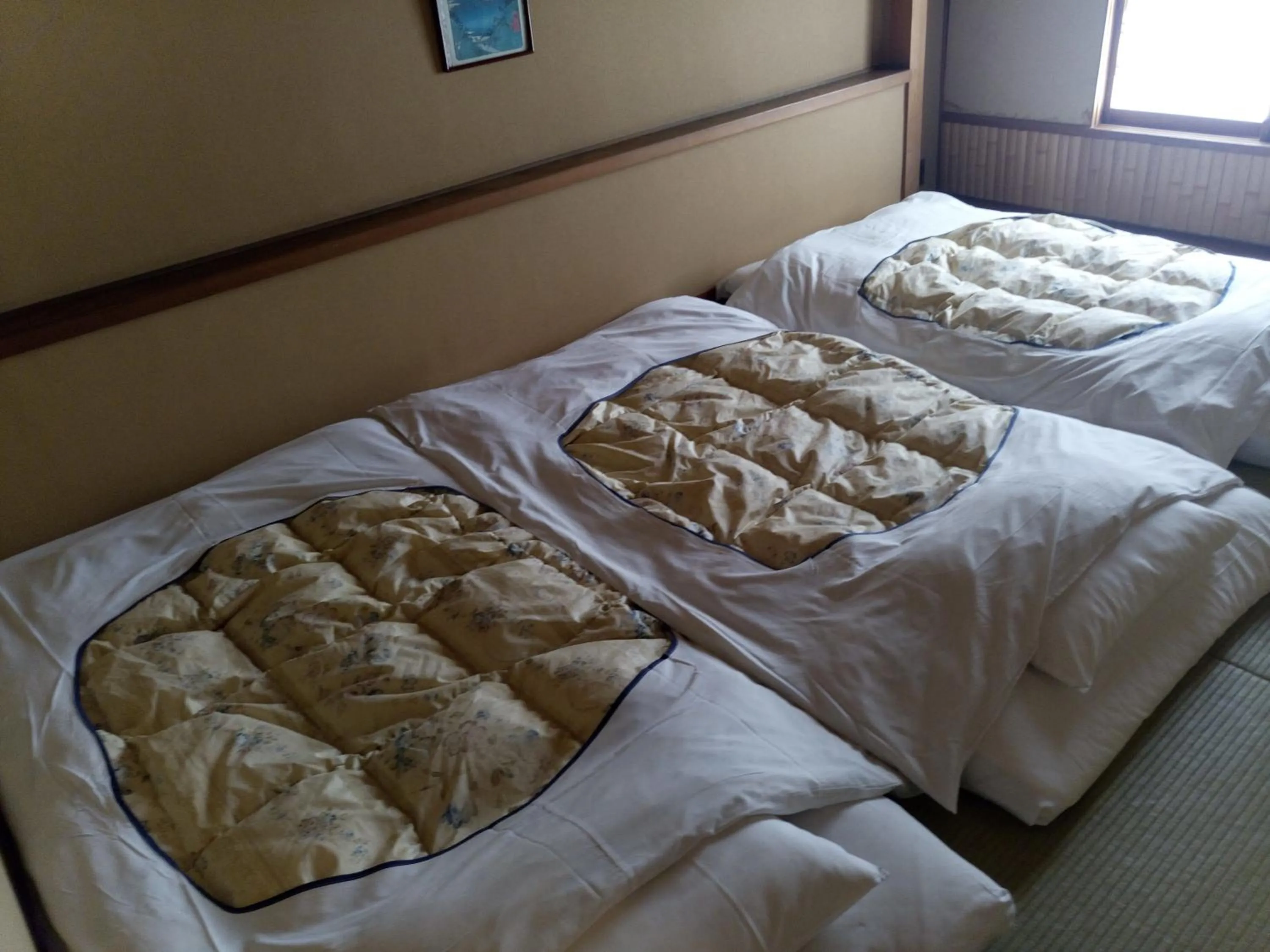 Photo of the whole room, Bed in Hotel Edoya