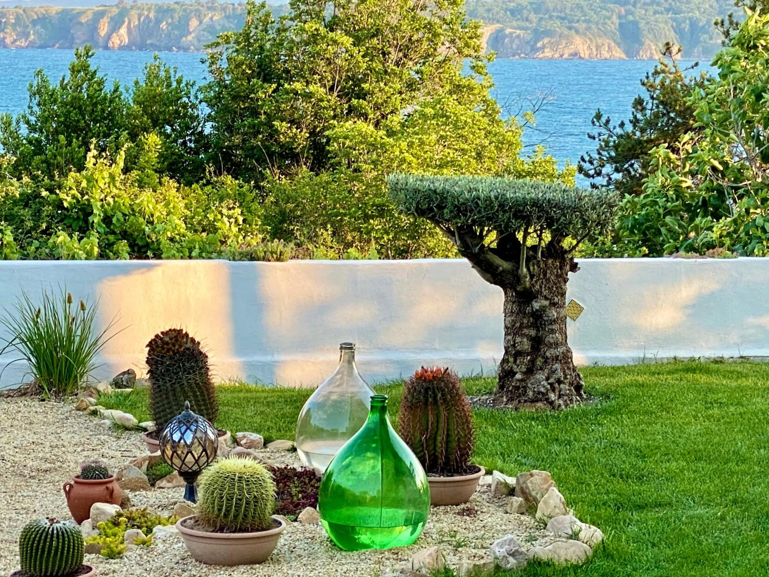 Patio in Casa de oro Alma