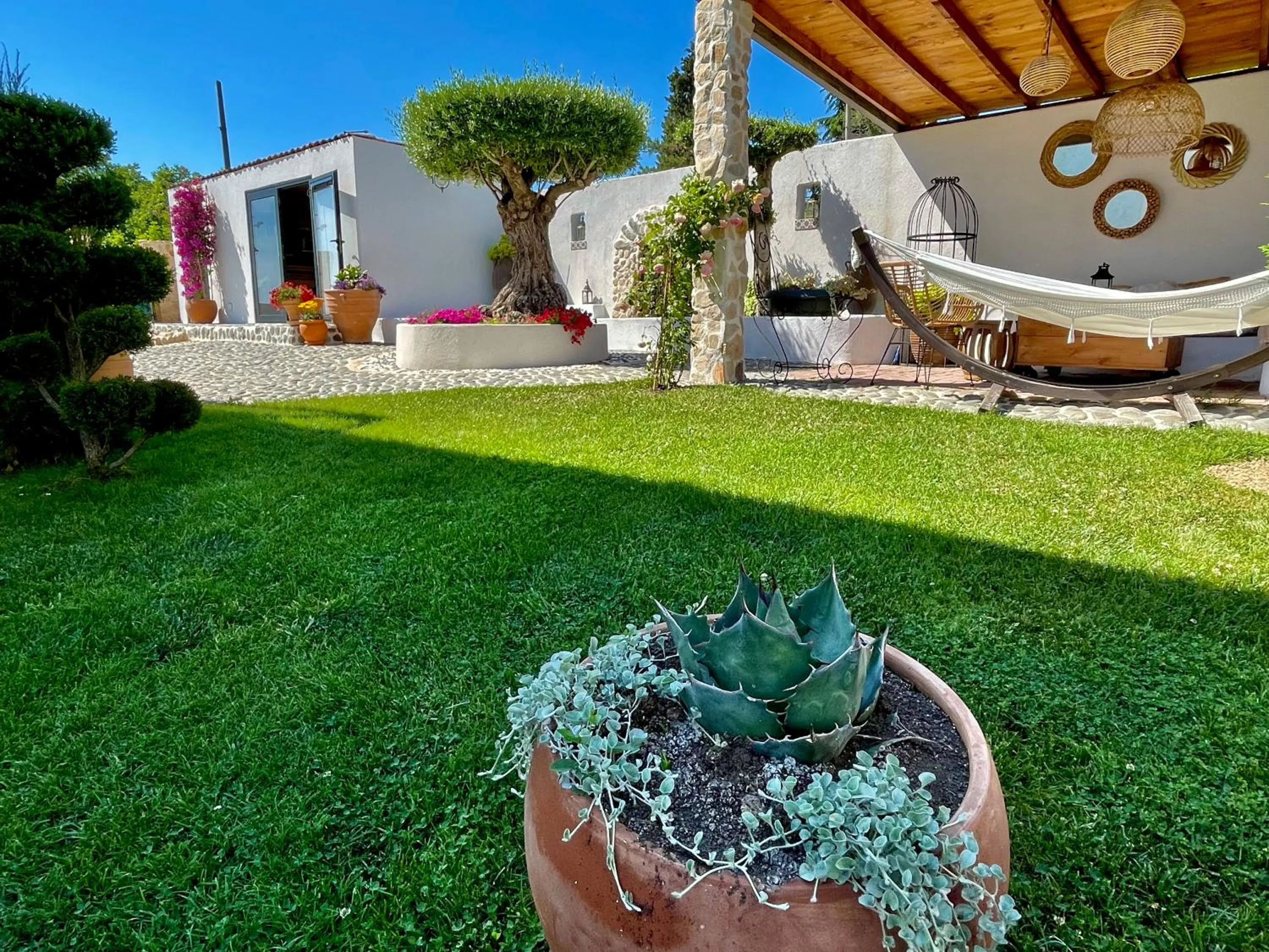 Garden in Casa de oro Alma