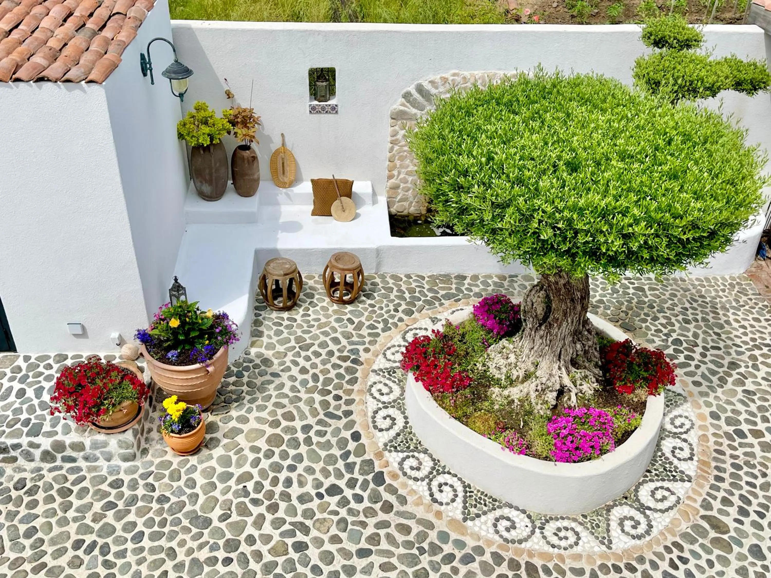 Garden in Casa de oro Alma