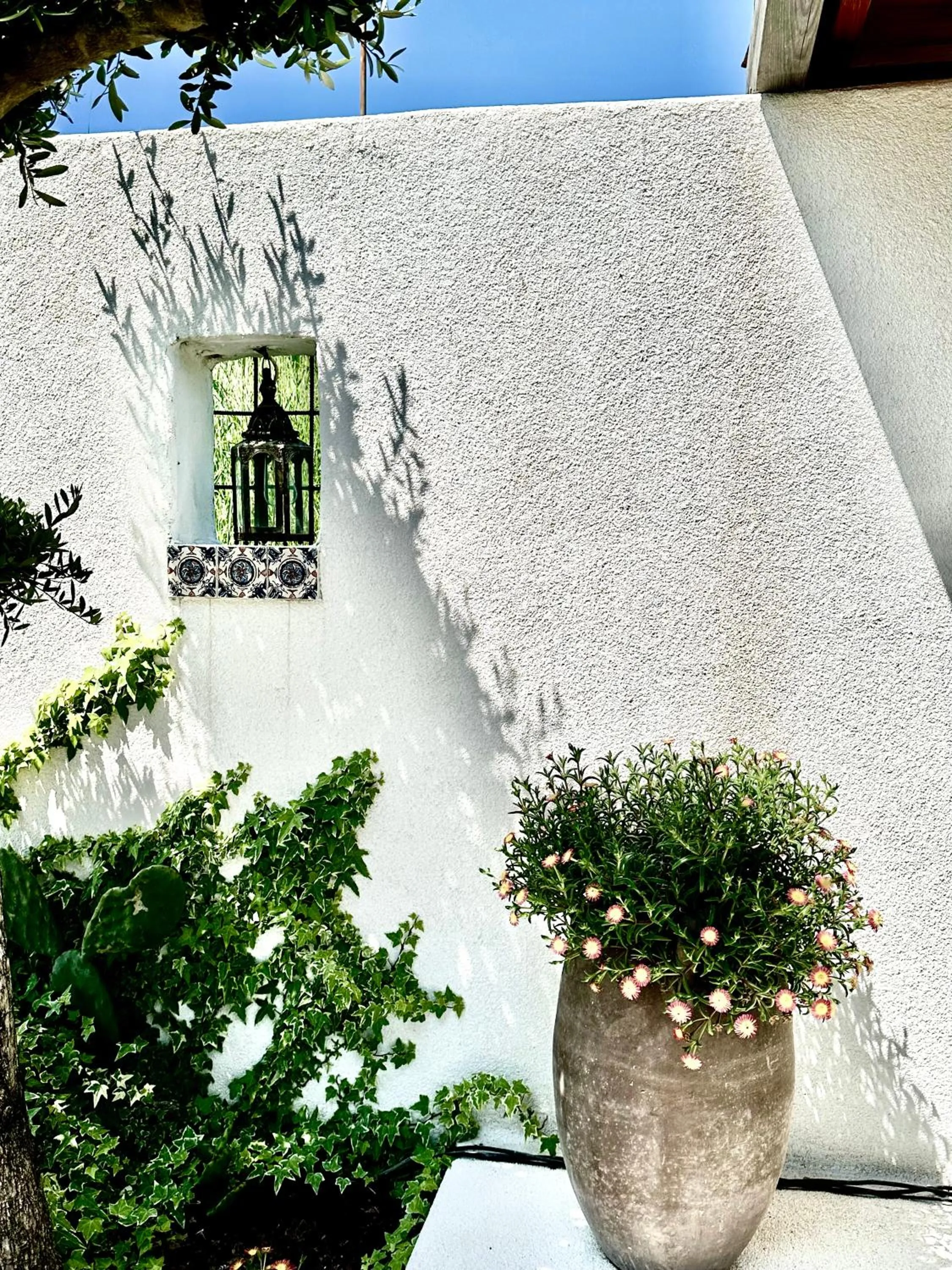 Garden in Casa de oro Alma