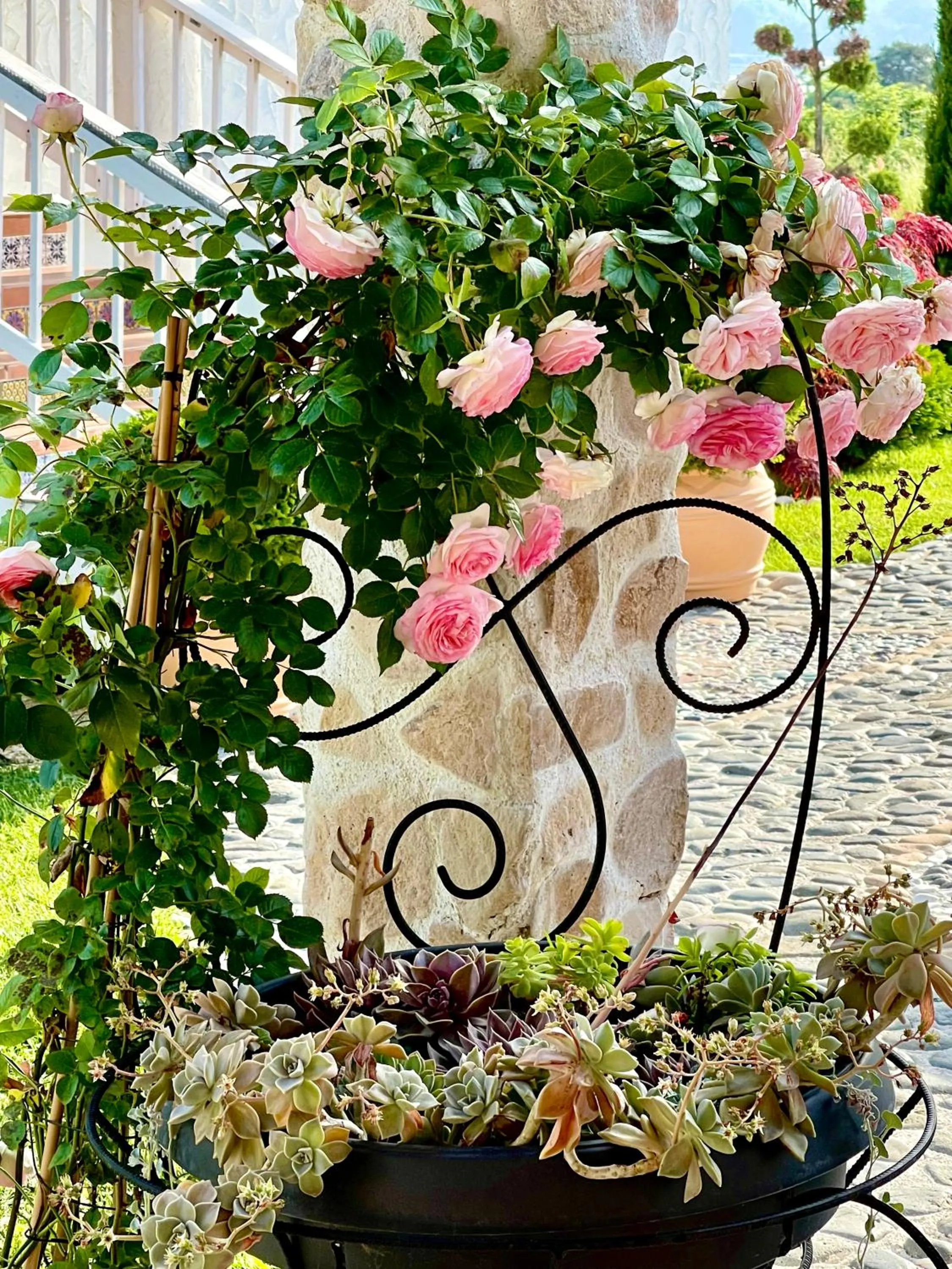 Patio in Casa de oro Alma