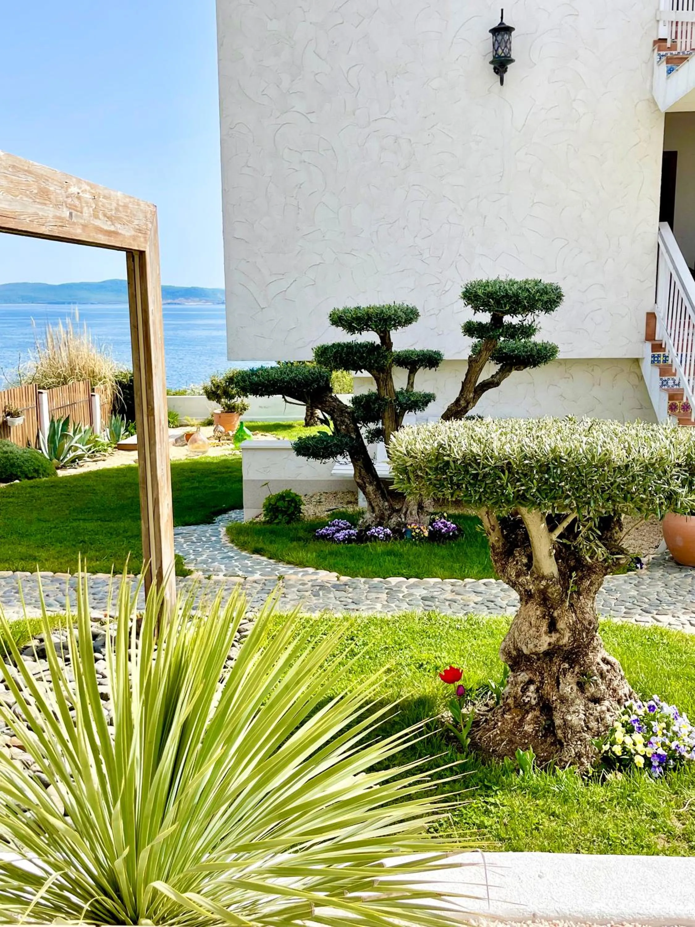 Garden in Casa de oro Alma