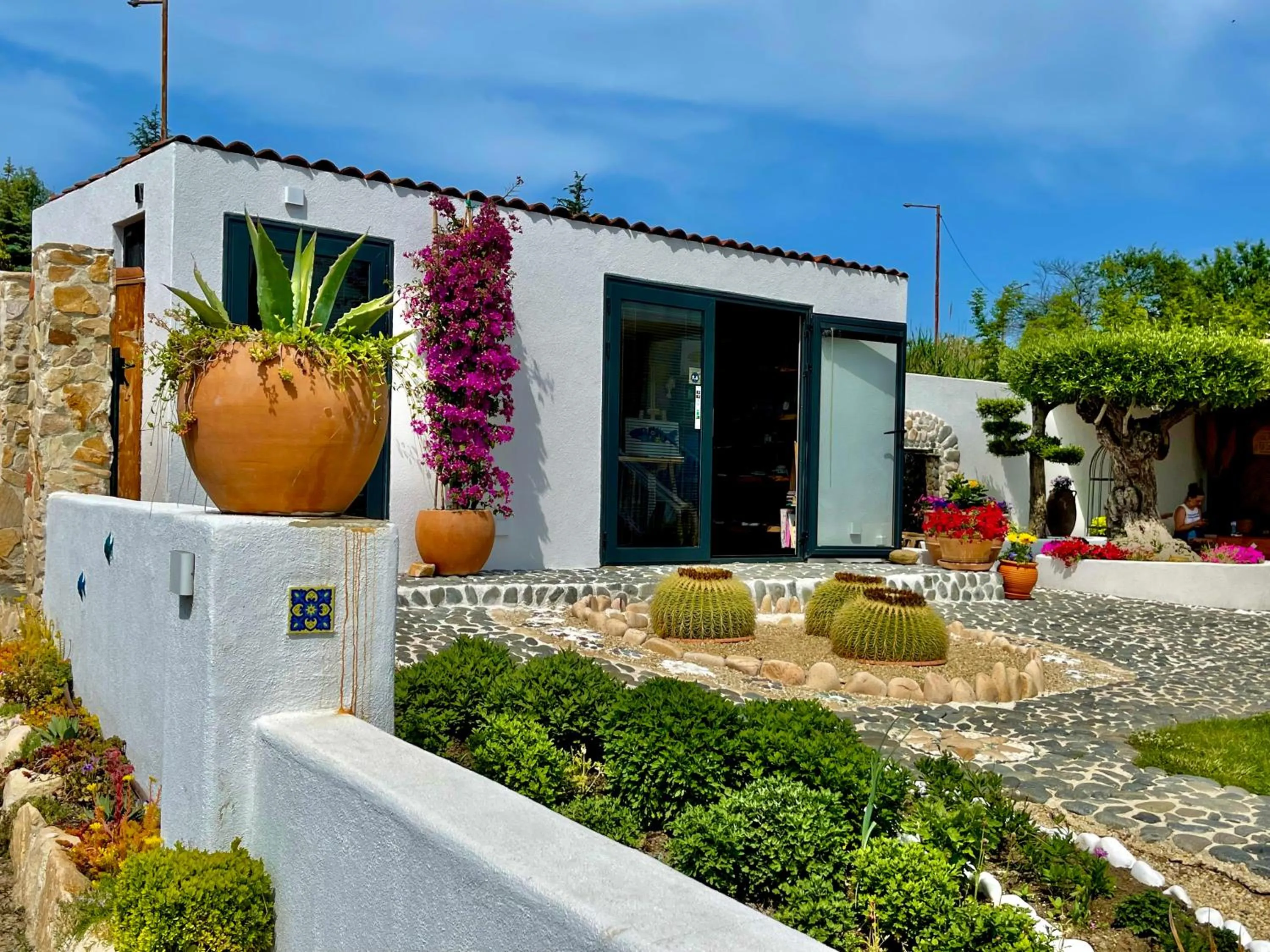 Garden in Casa de oro Alma