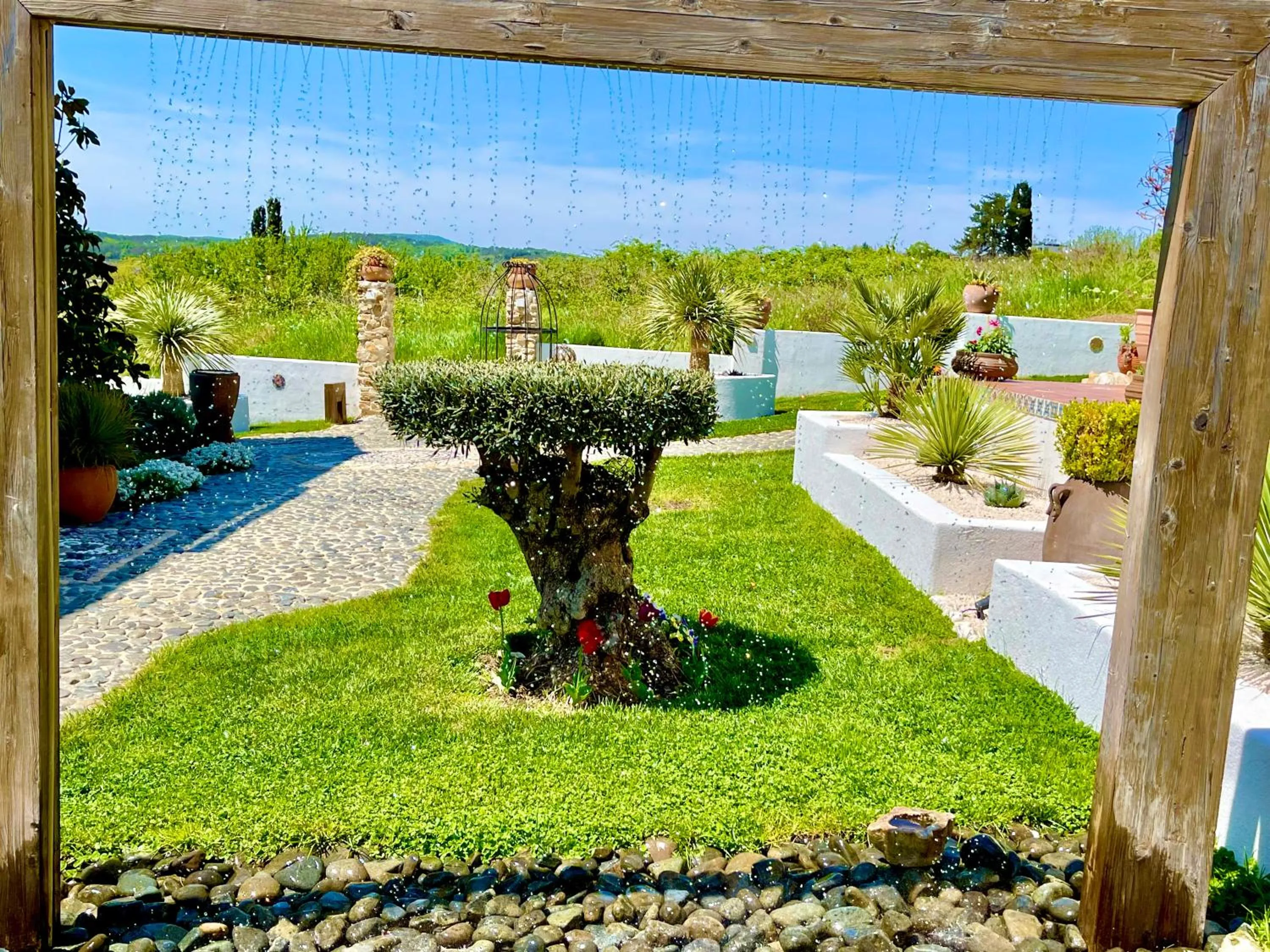 Garden in Casa de oro Alma