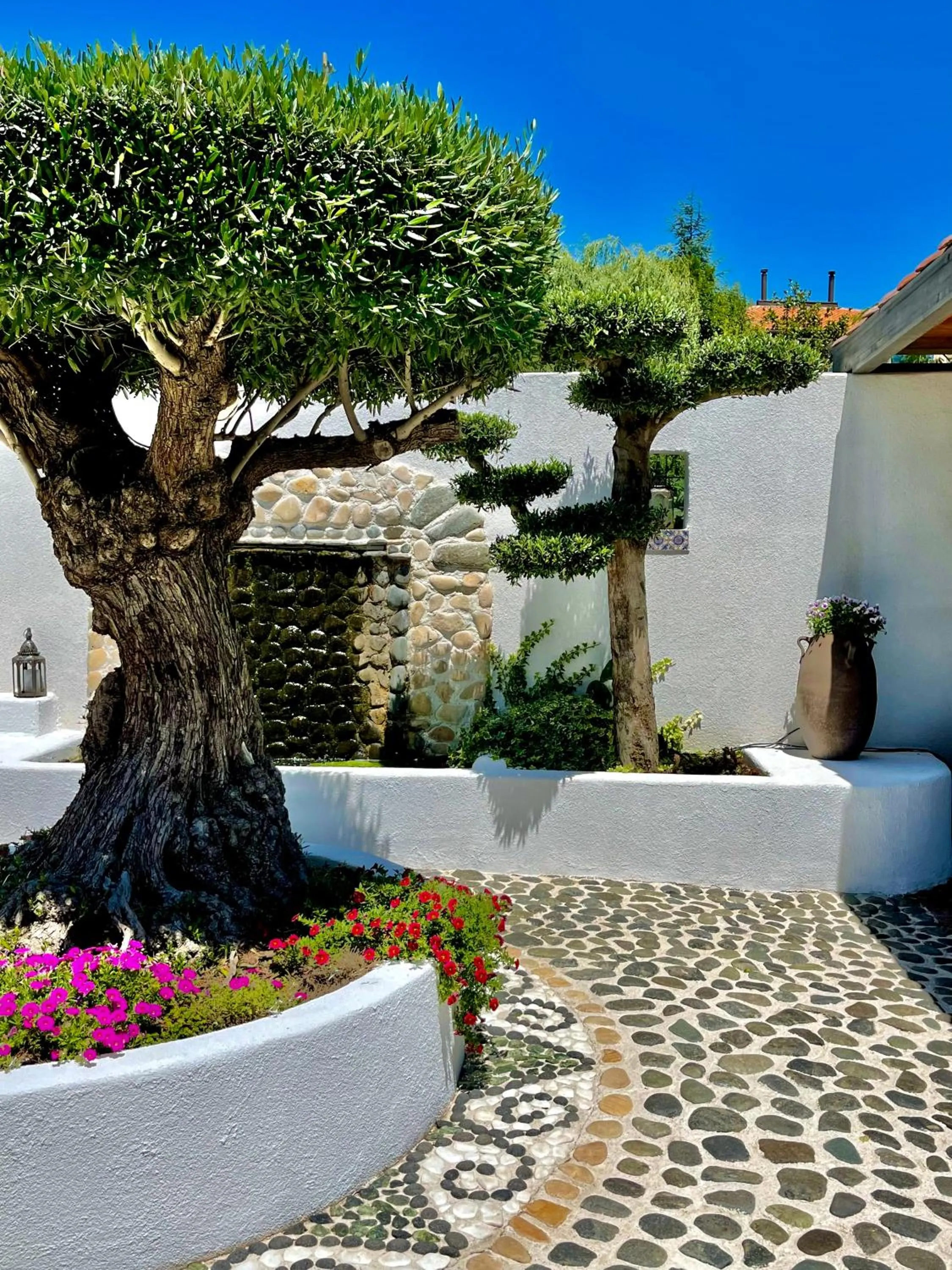 Garden in Casa de oro Alma