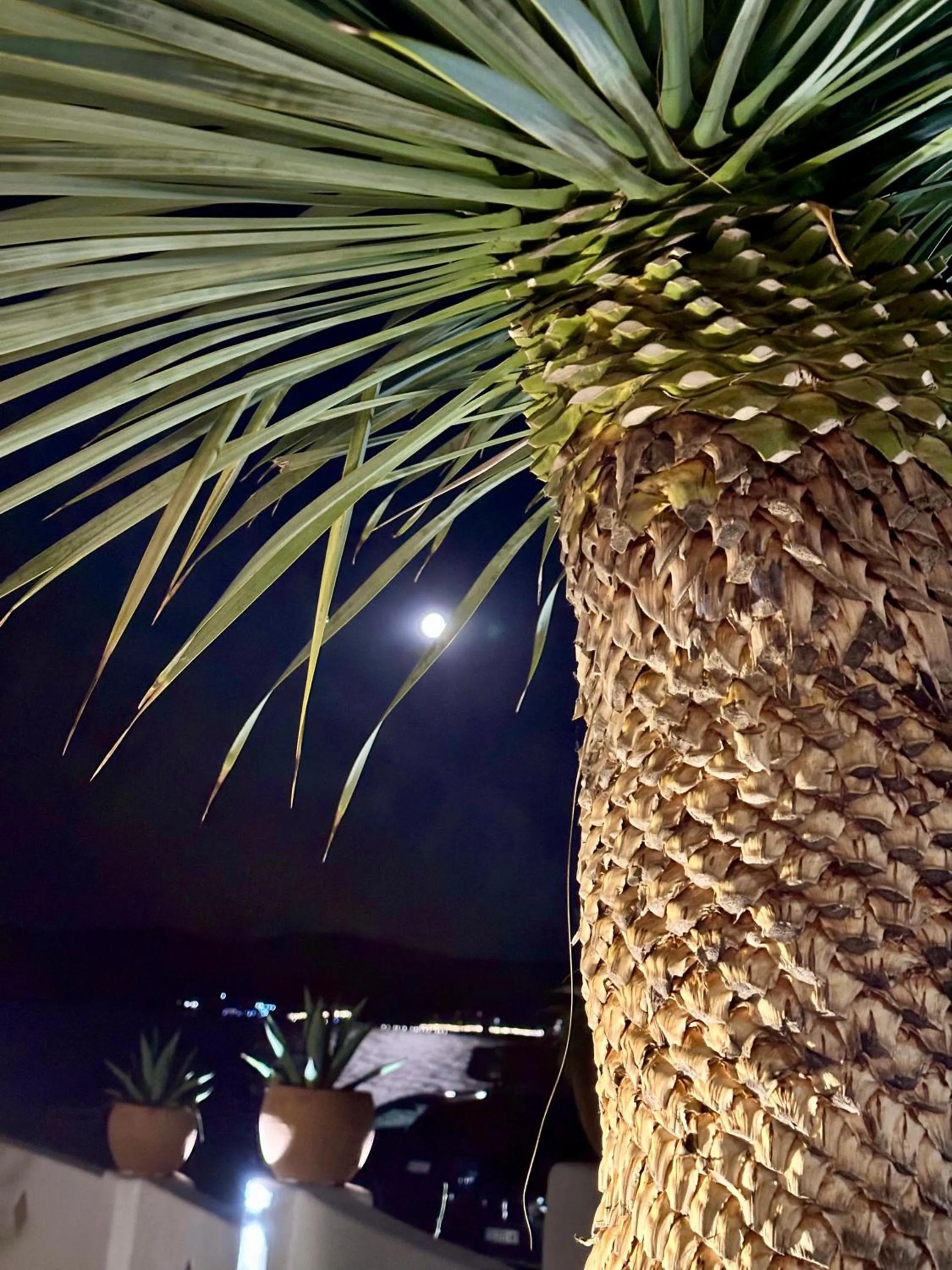 Night in Casa de oro Alma