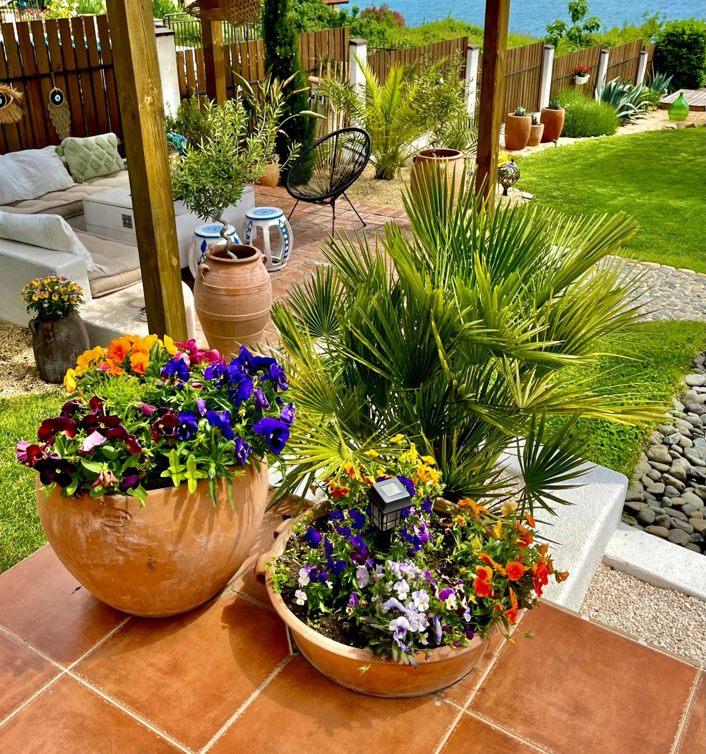 Patio in Casa de oro Alma