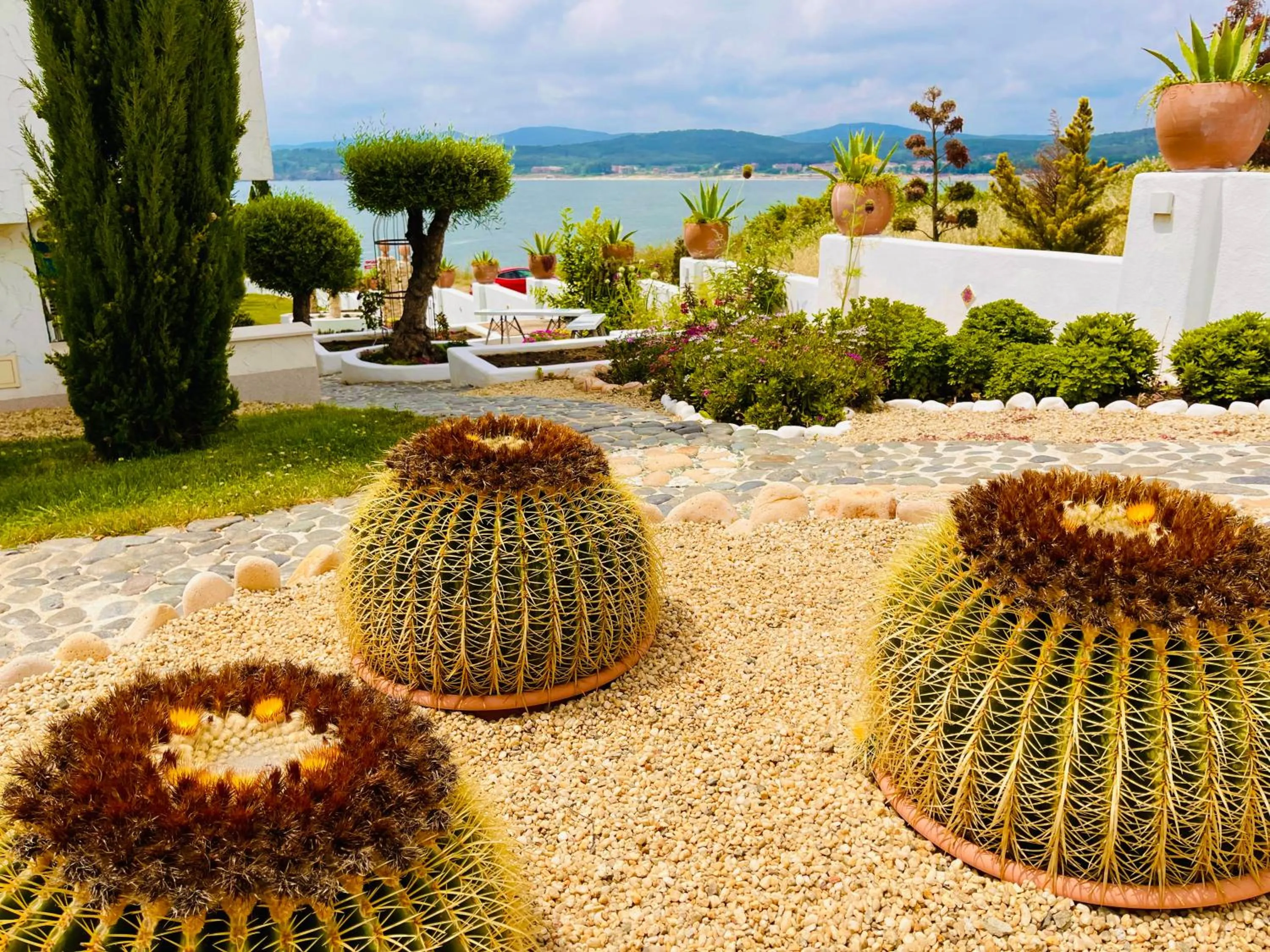 Garden view in Casa de oro Alma