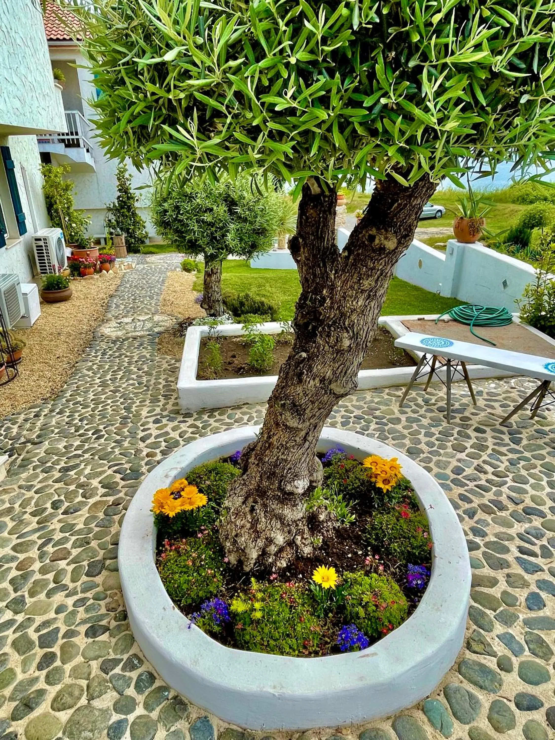 Patio in Casa de oro Alma