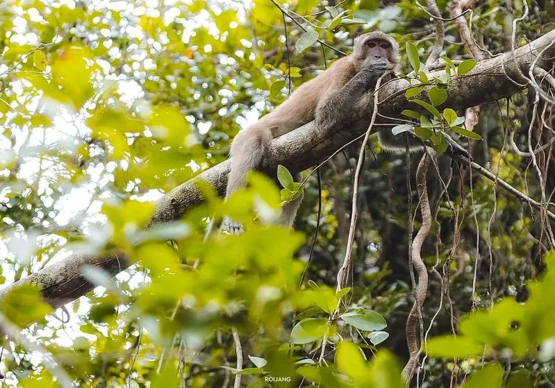 Nearby landmark in Baan Krating Khao Lak Resort - SHA plus