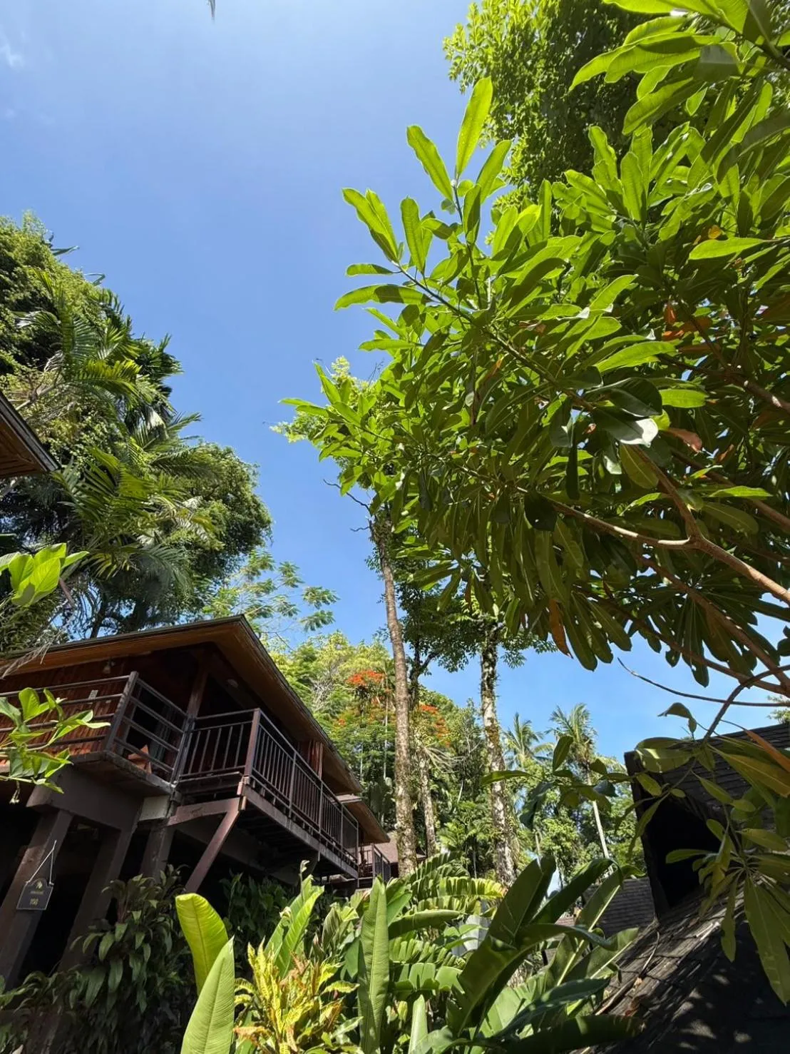 Natural landscape in Baan Krating Khao Lak Resort - SHA plus