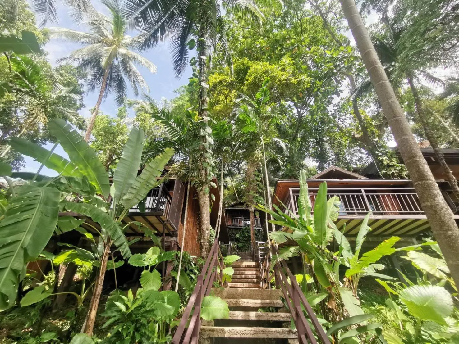 Natural landscape in Baan Krating Khao Lak Resort - SHA plus