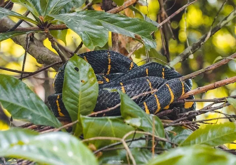 Nearby landmark in Baan Krating Khao Lak Resort - SHA plus