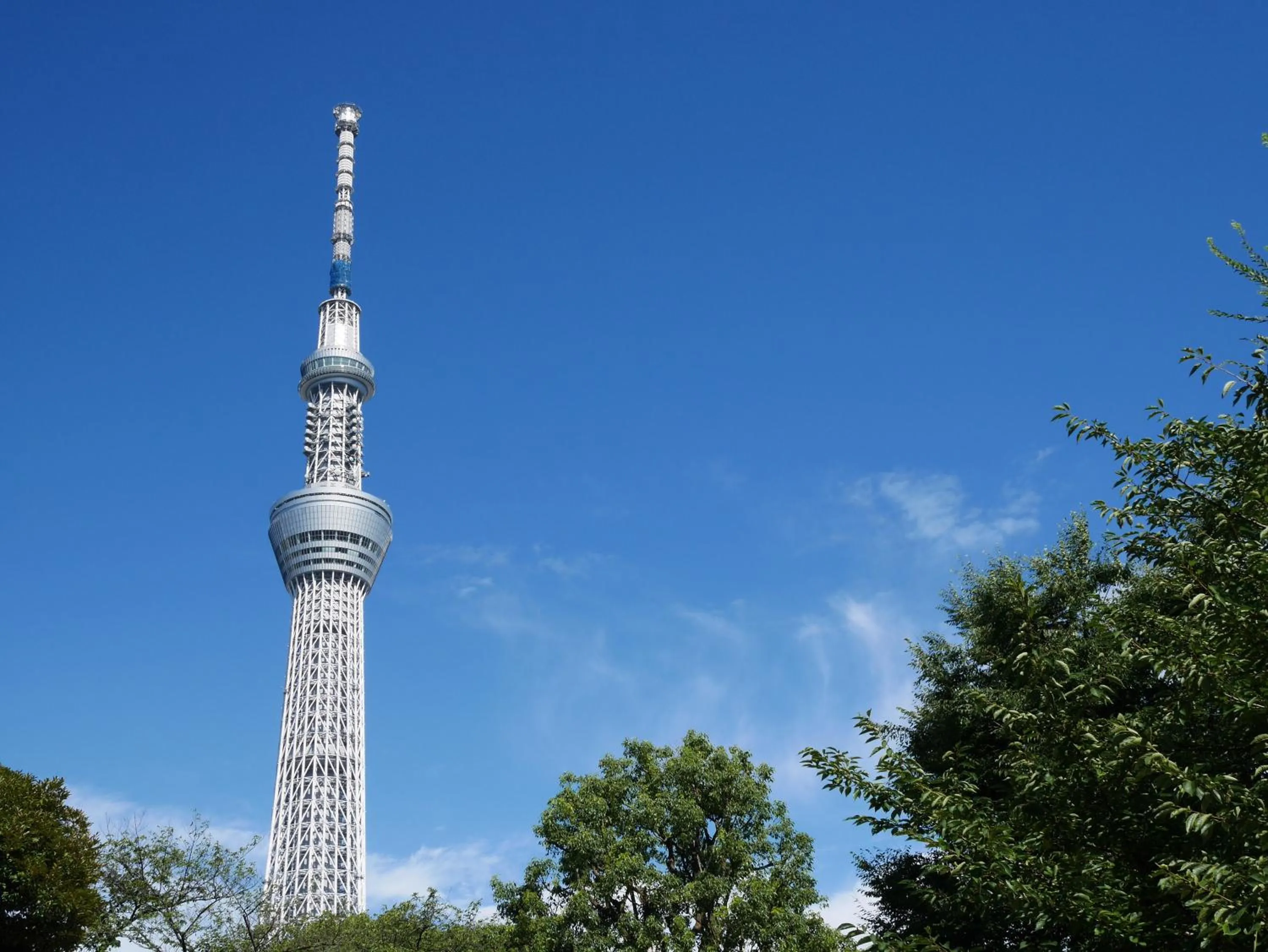 Nearby landmark in Hotel Wing International Select Ueno Okachimachi