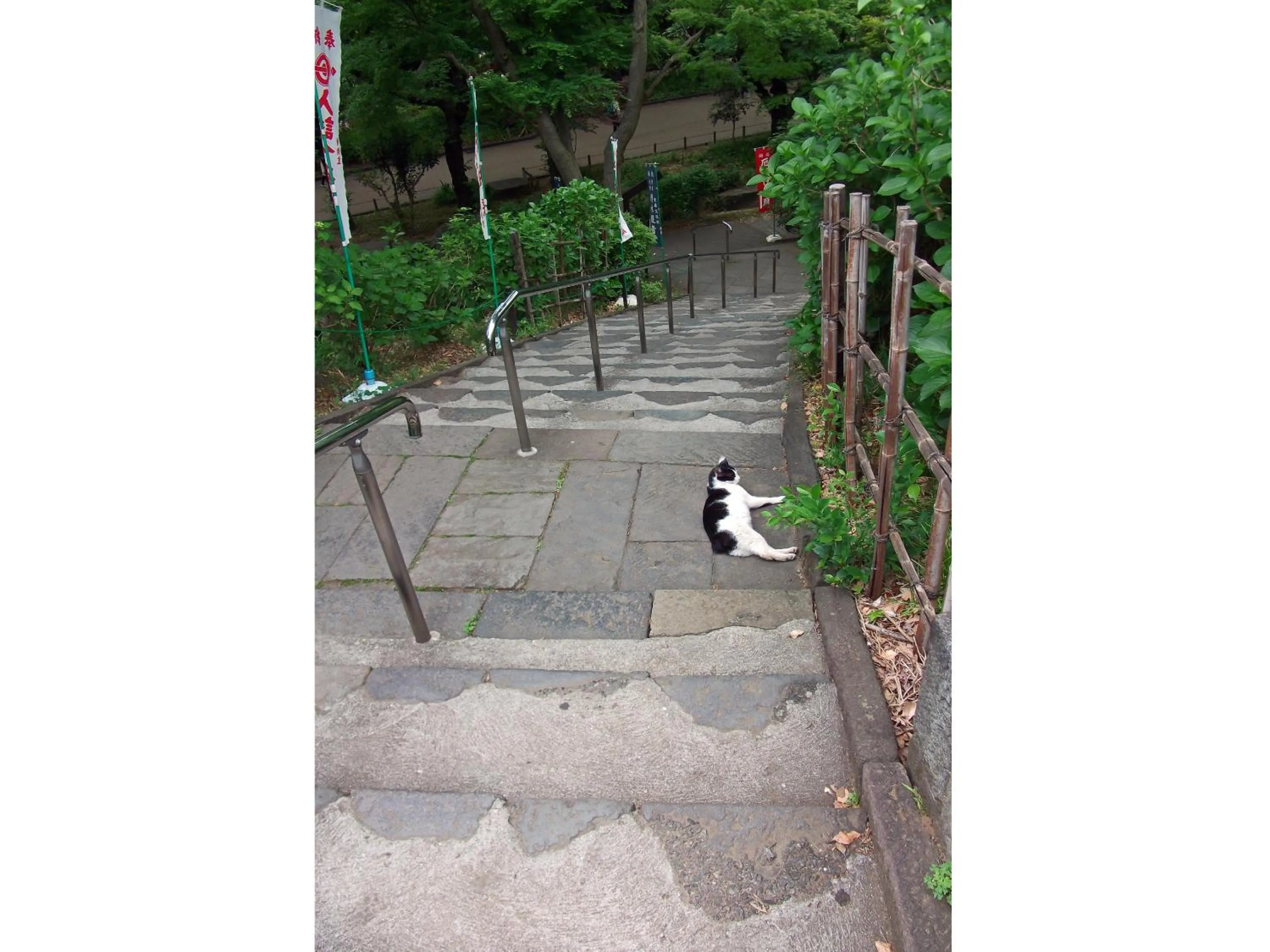 Nearby landmark in Hotel Wing International Select Ueno Okachimachi