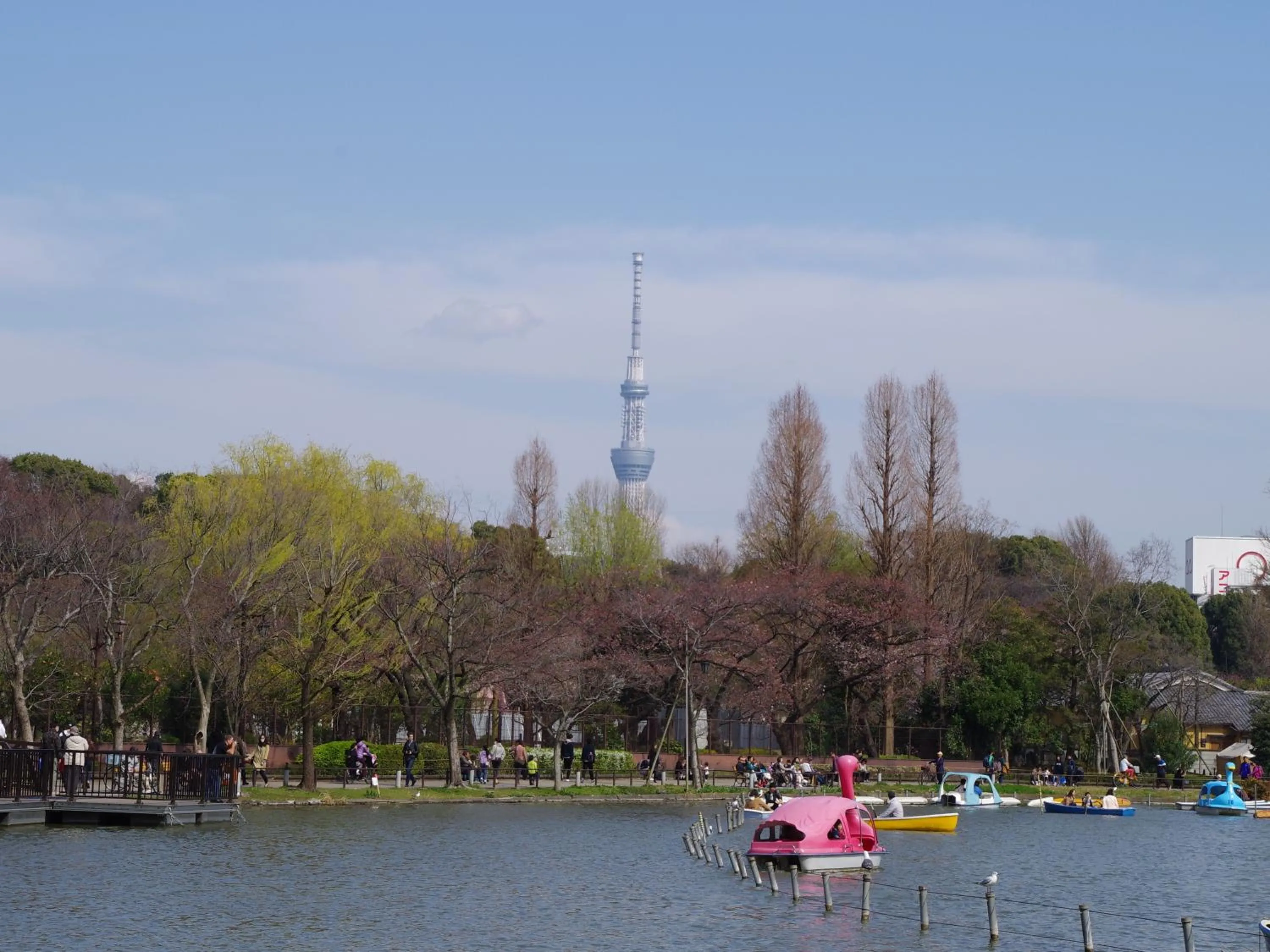 Nearby landmark in Hotel Wing International Select Ueno Okachimachi