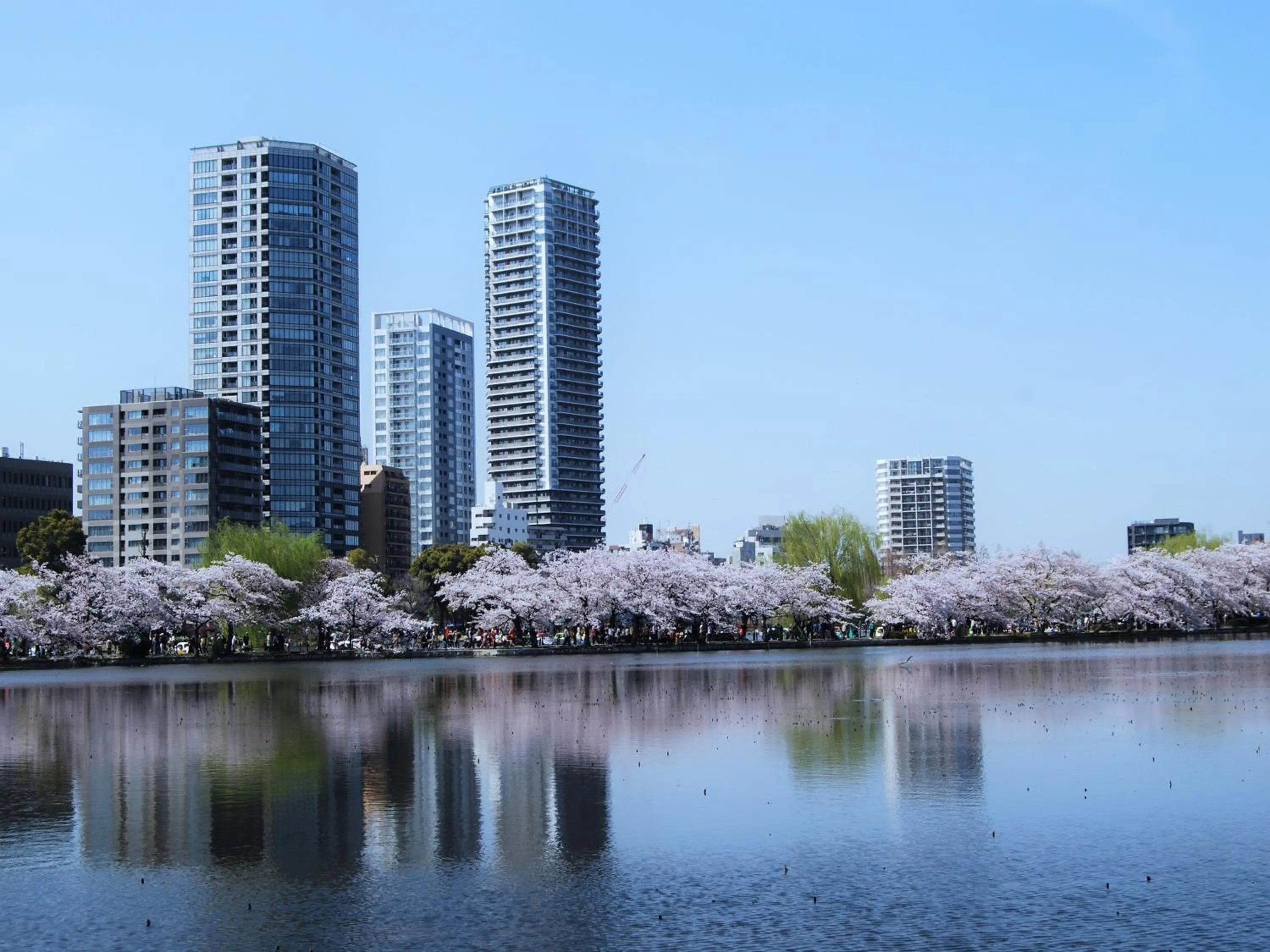 Nearby landmark in Hotel Wing International Select Ueno Okachimachi
