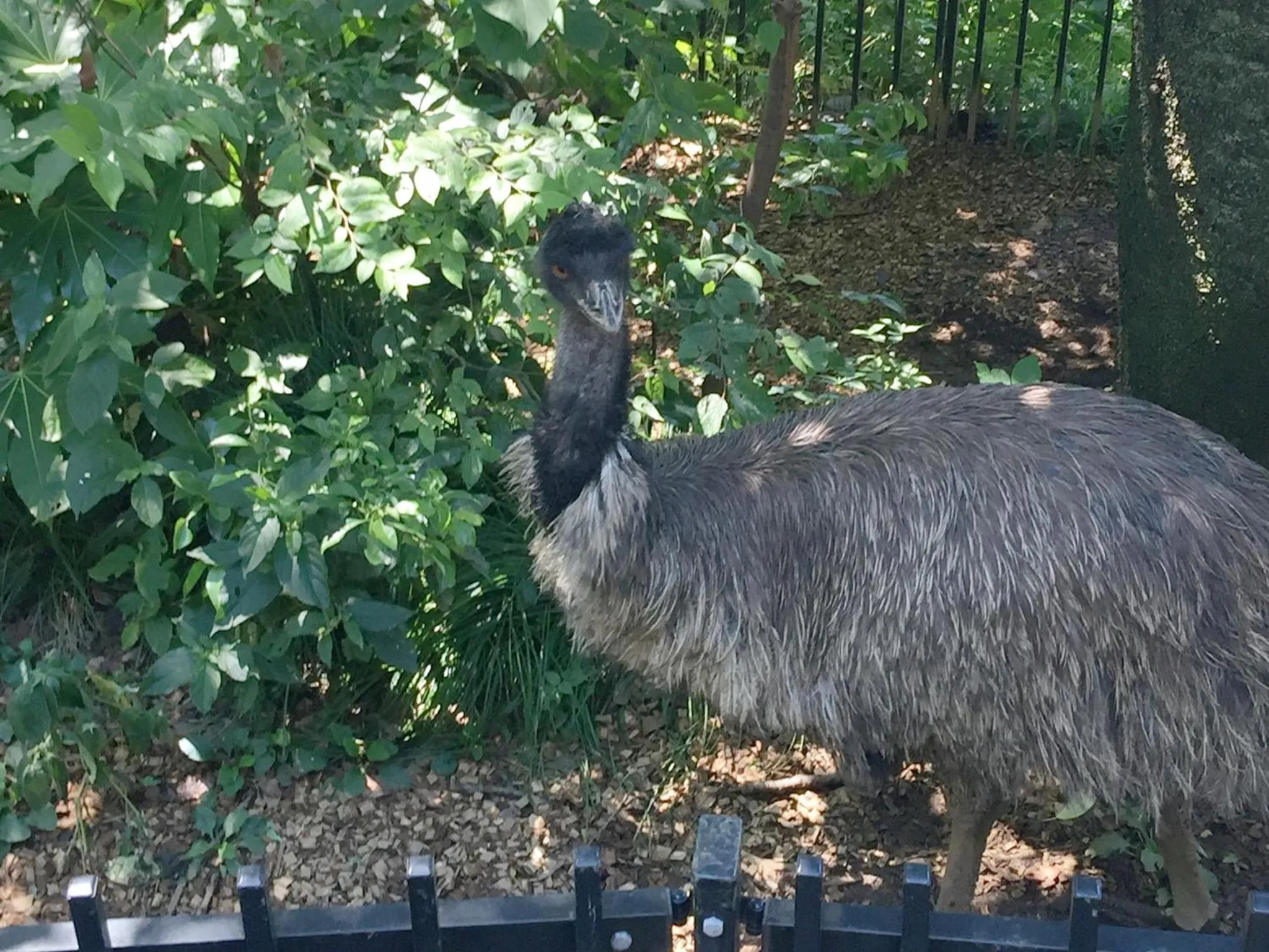 Nearby landmark in Hotel Wing International Select Ueno Okachimachi