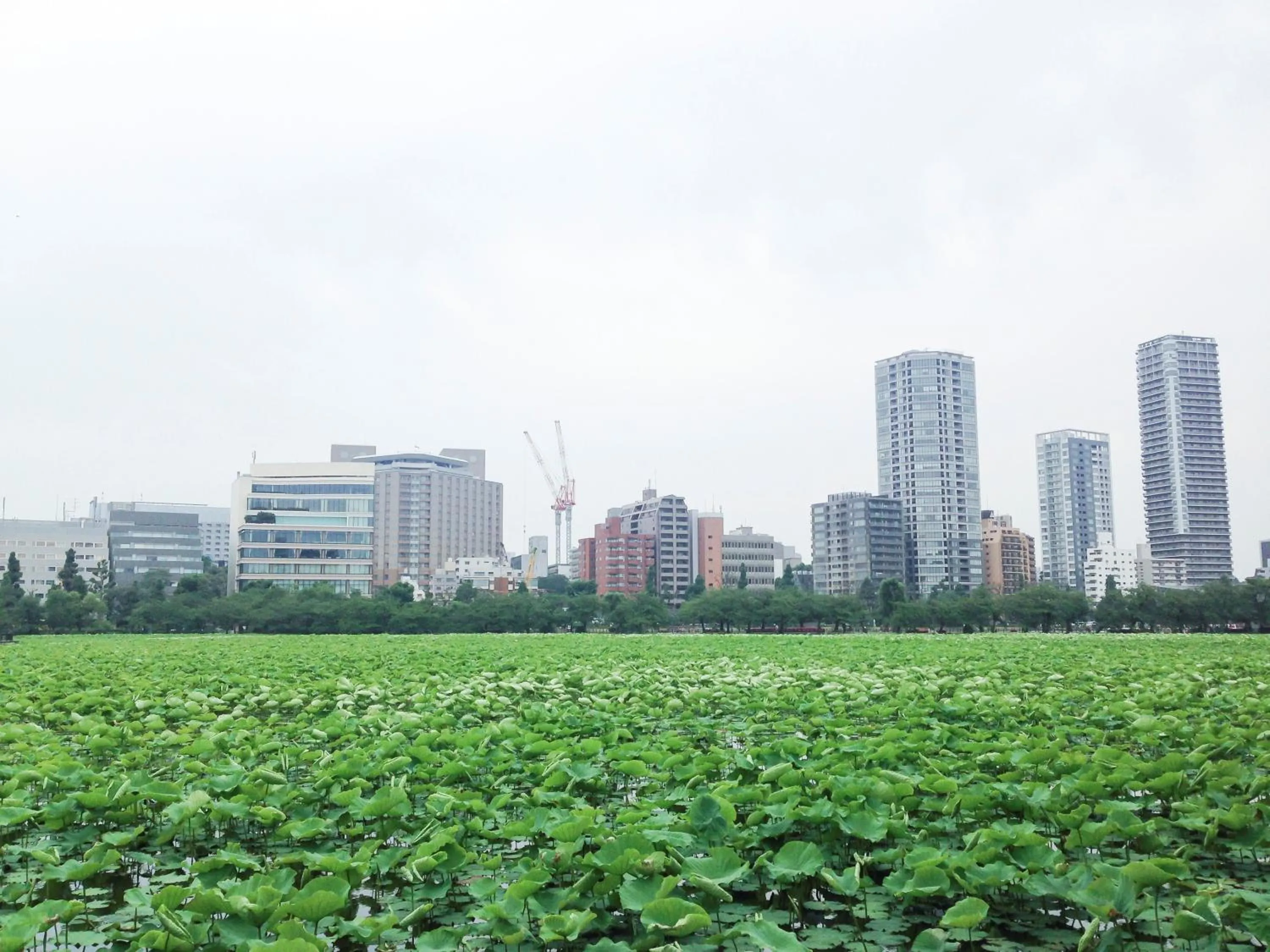 Nearby landmark in Hotel Wing International Select Ueno Okachimachi