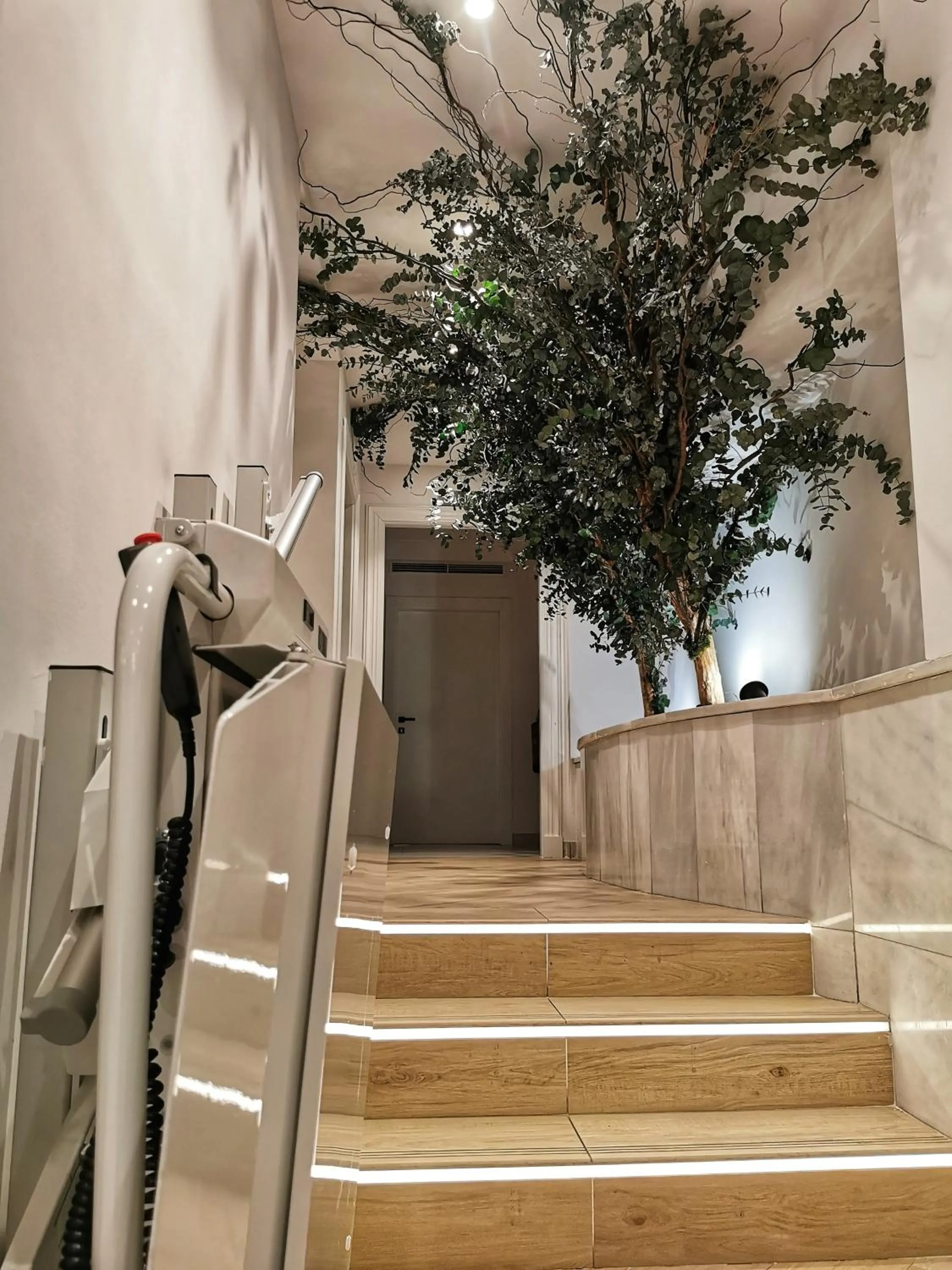 acessibility in Hotel Don Rodrigo