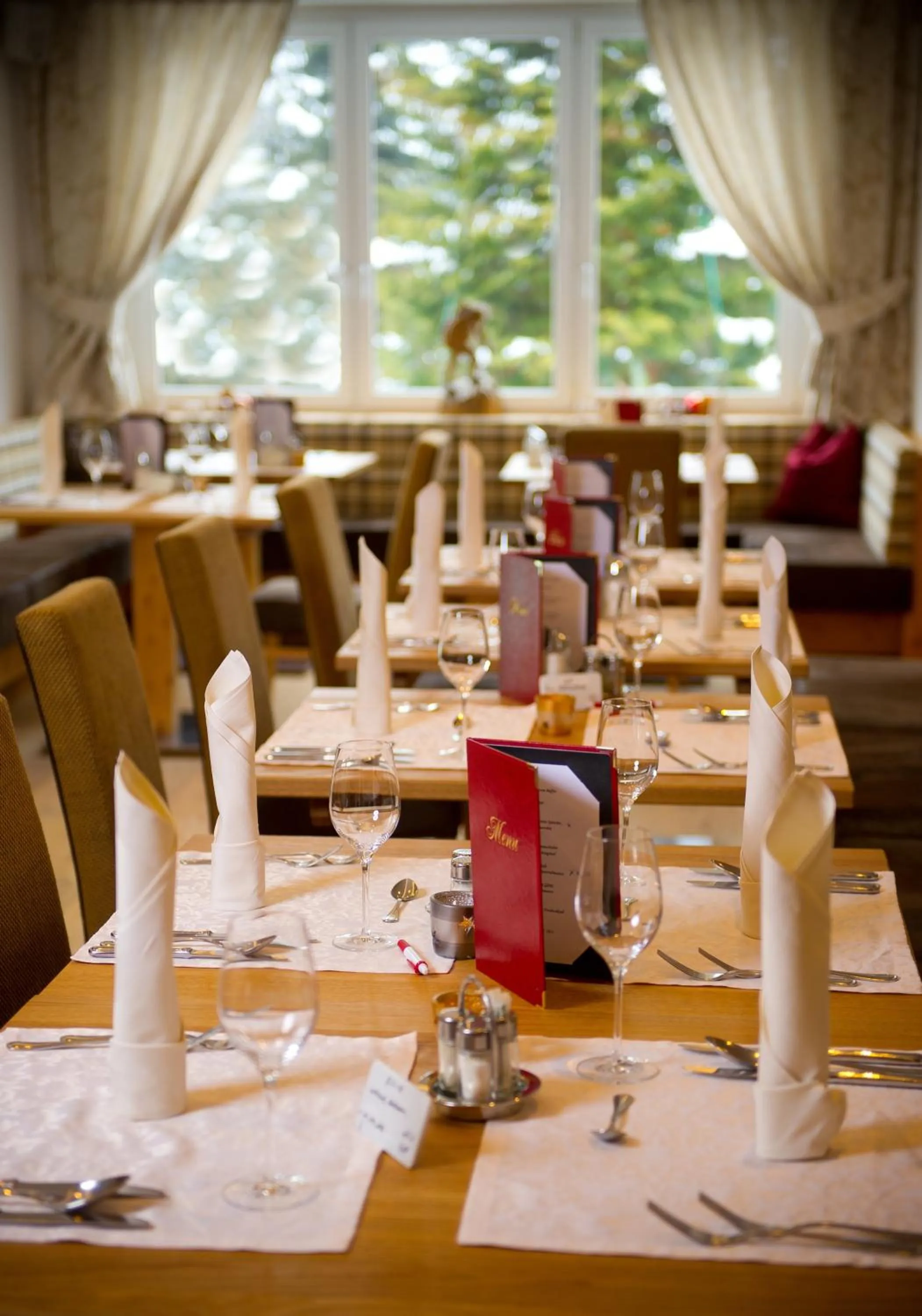 Restaurant/places to eat in Hotel Alpina