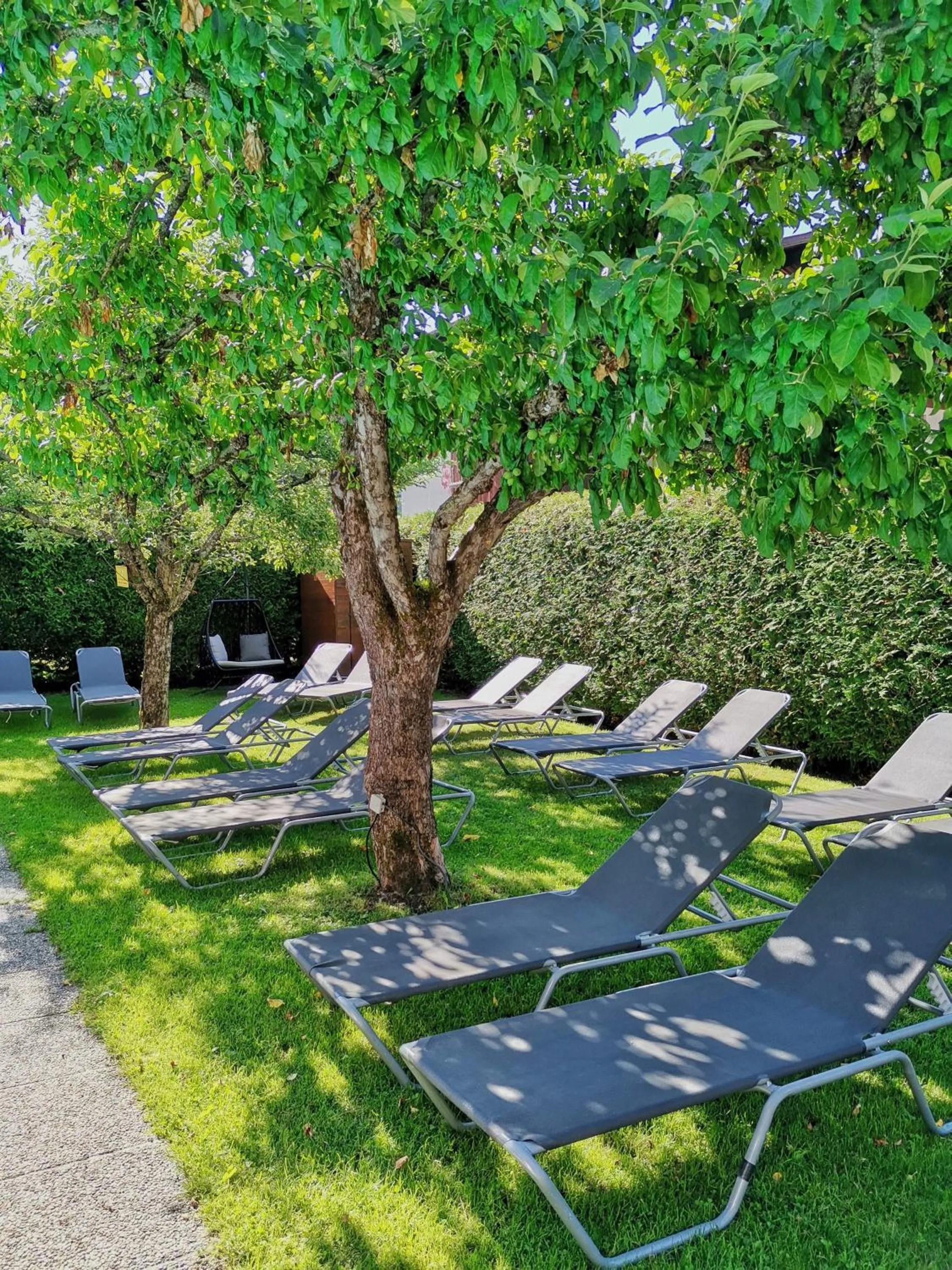 Garden in Hotel Alpina