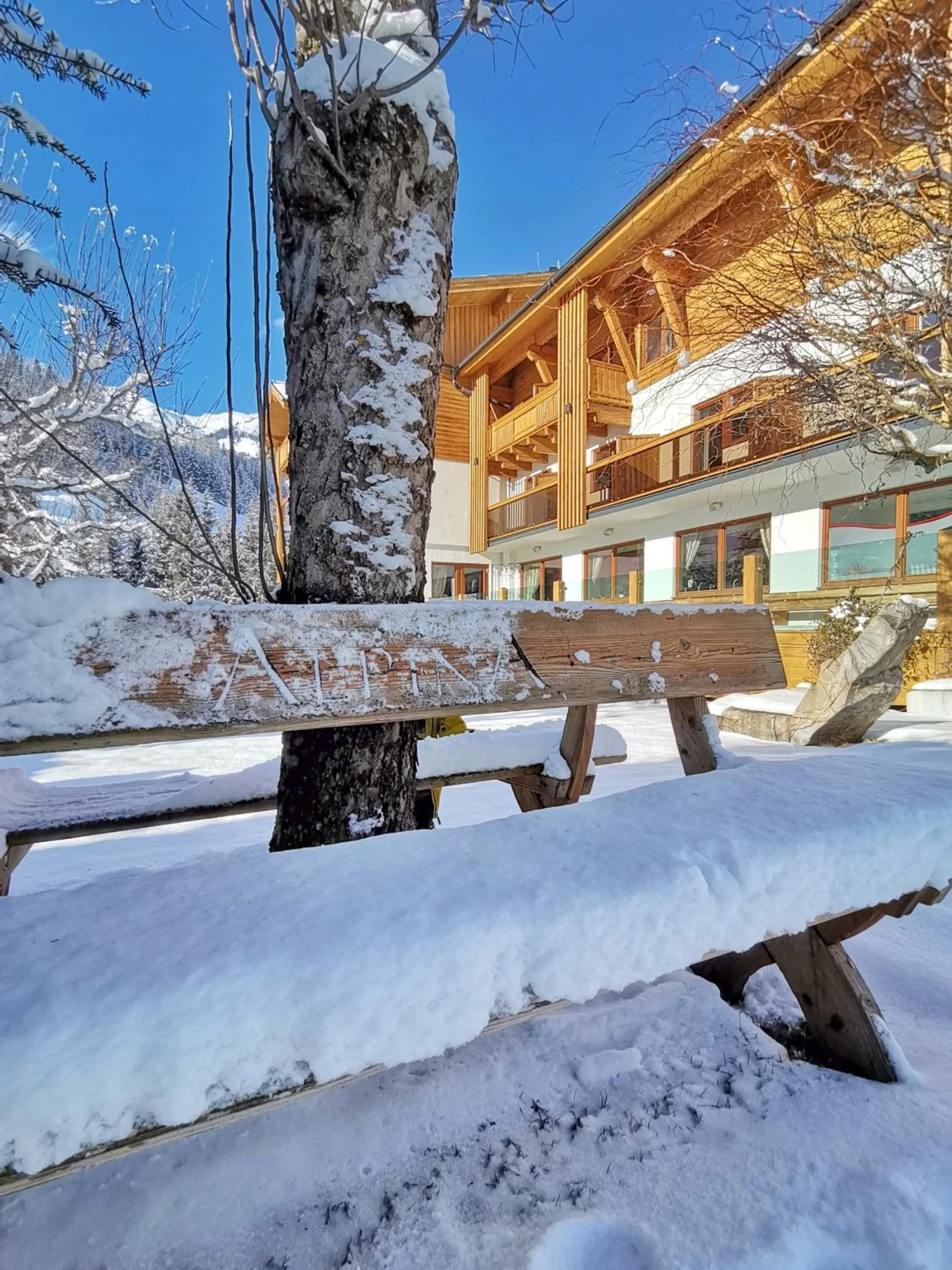 Garden in Hotel Alpina