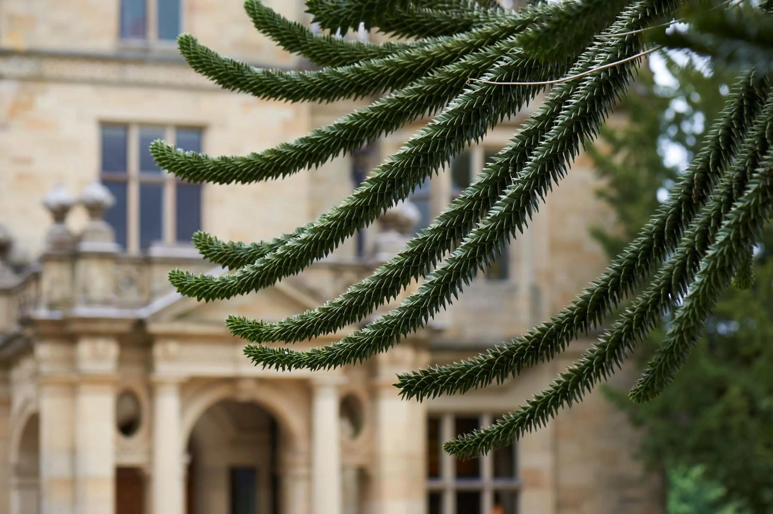 Facade/entrance in Palé Hall