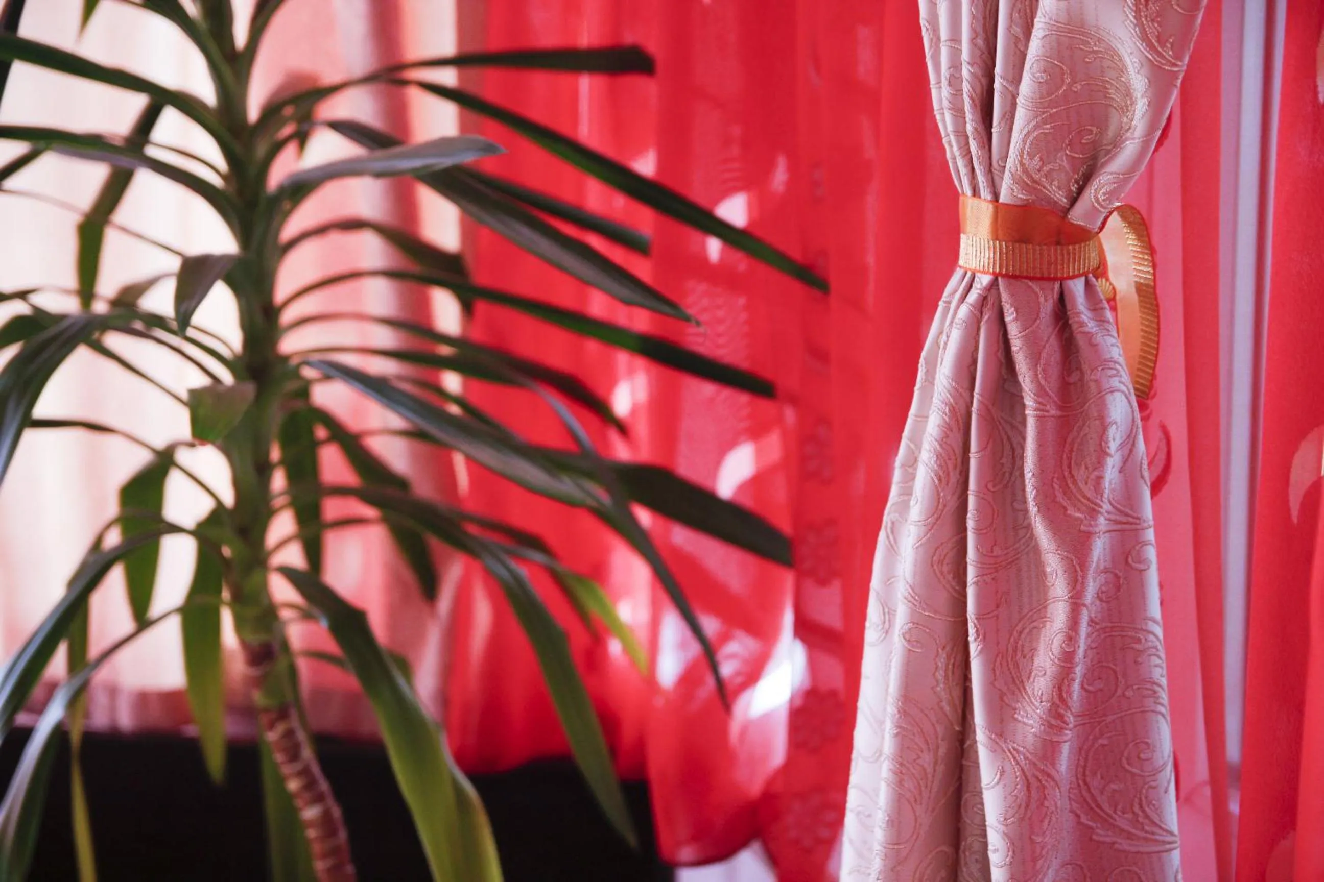 Photo of the whole room in Villa Grande