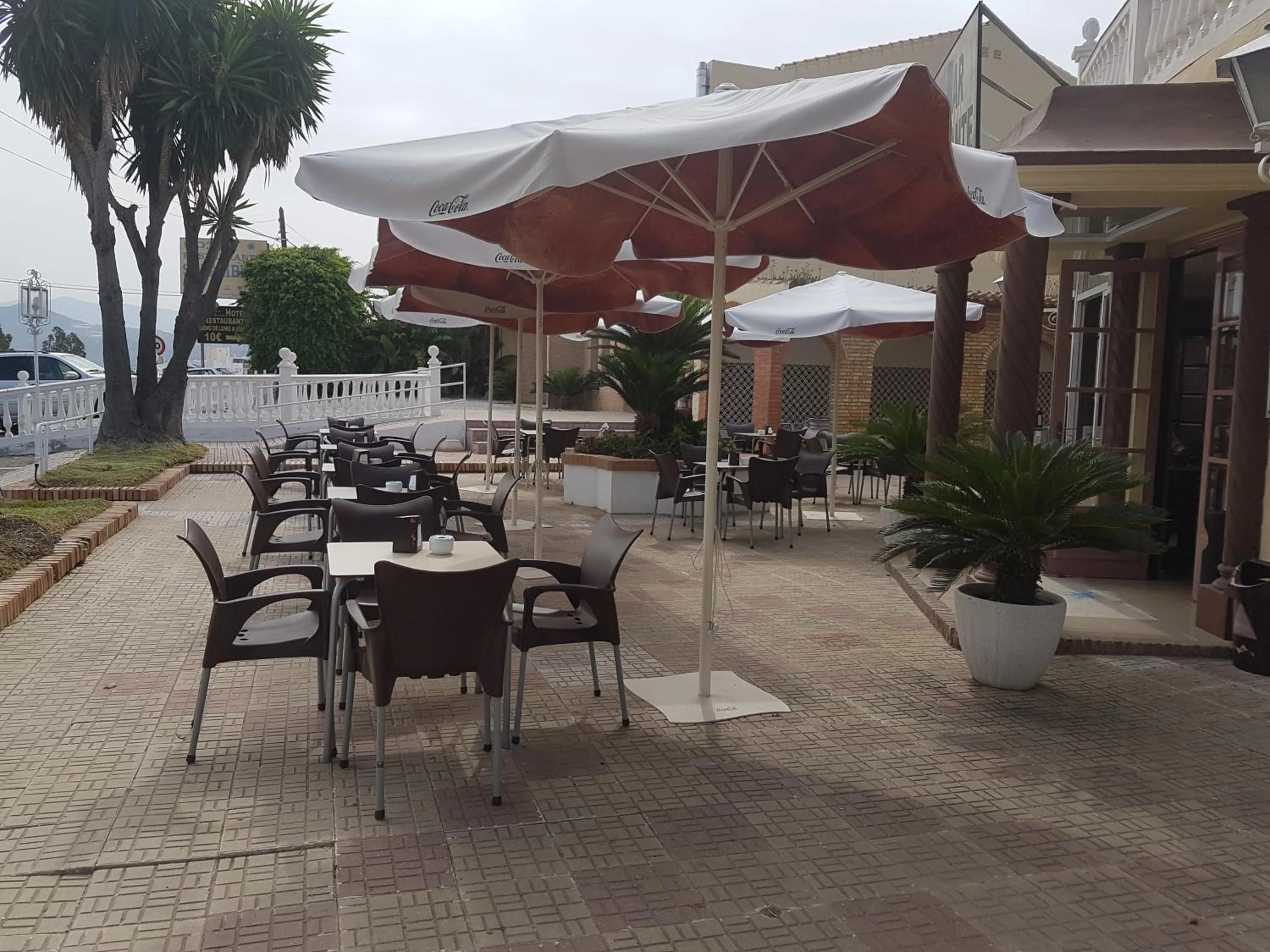 Lounge or bar in Hotel Salambina