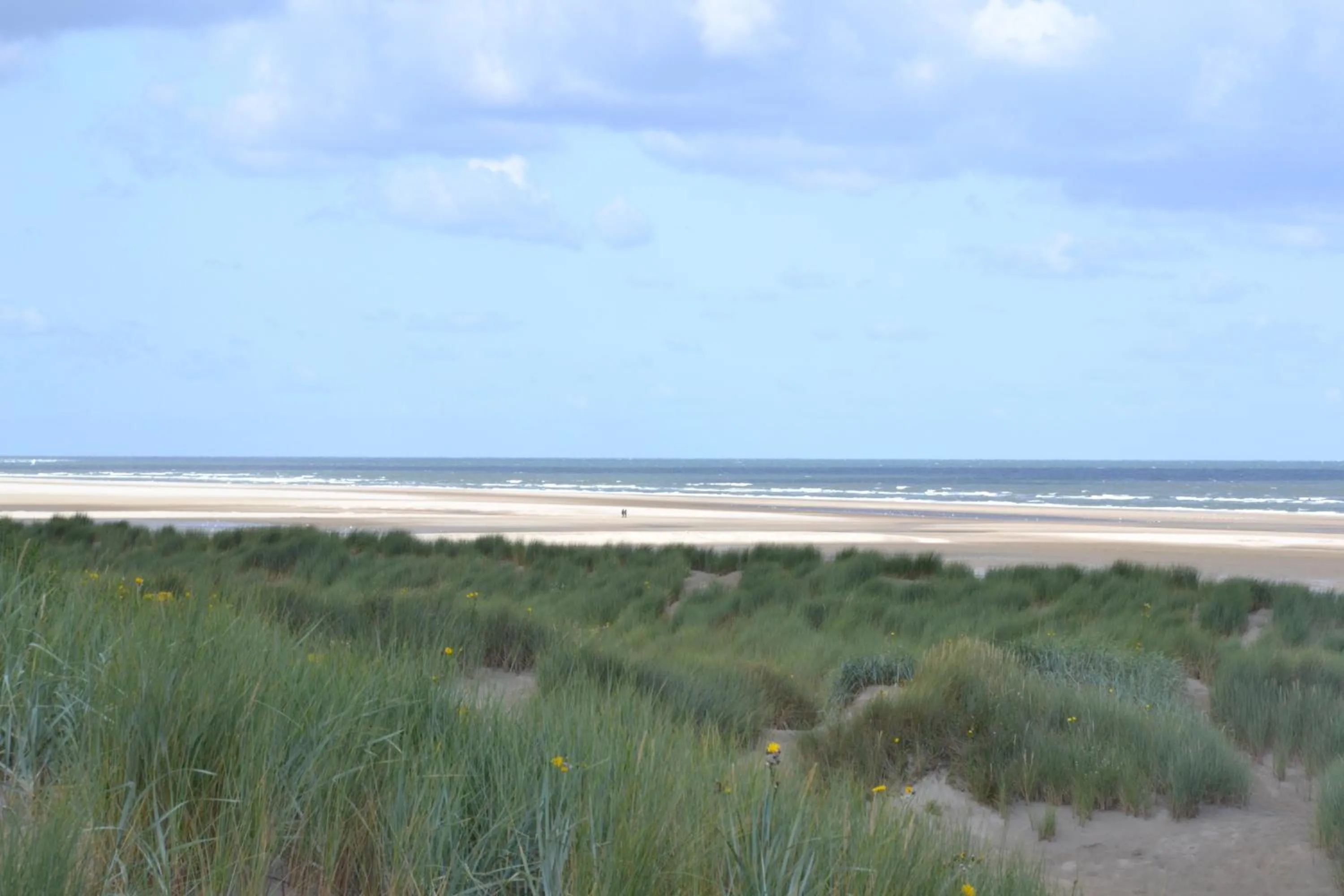 Beach in Fletcher Duinhotel Hotel Burgh Haamstede