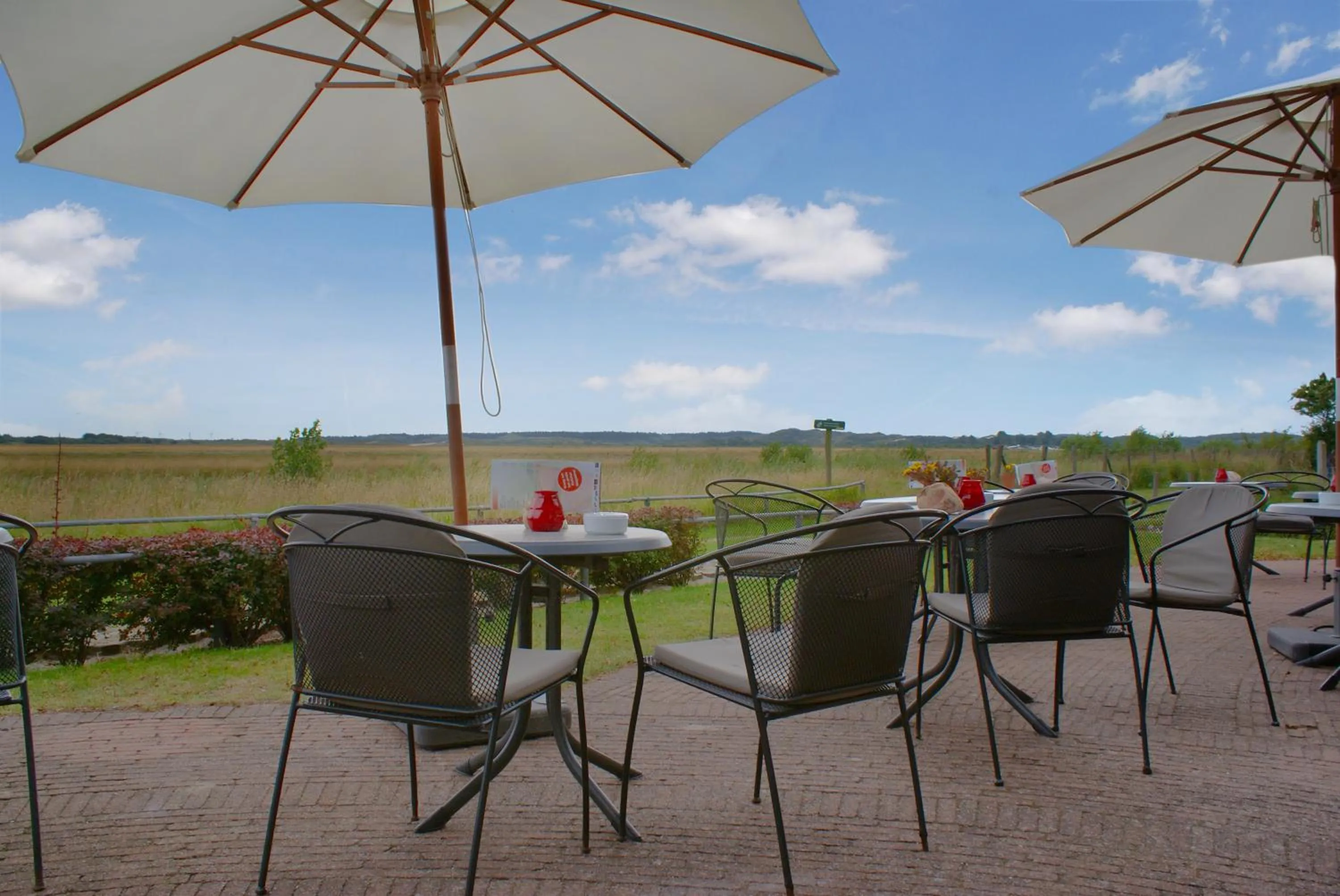 Balcony/Terrace in Fletcher Duinhotel Hotel Burgh Haamstede