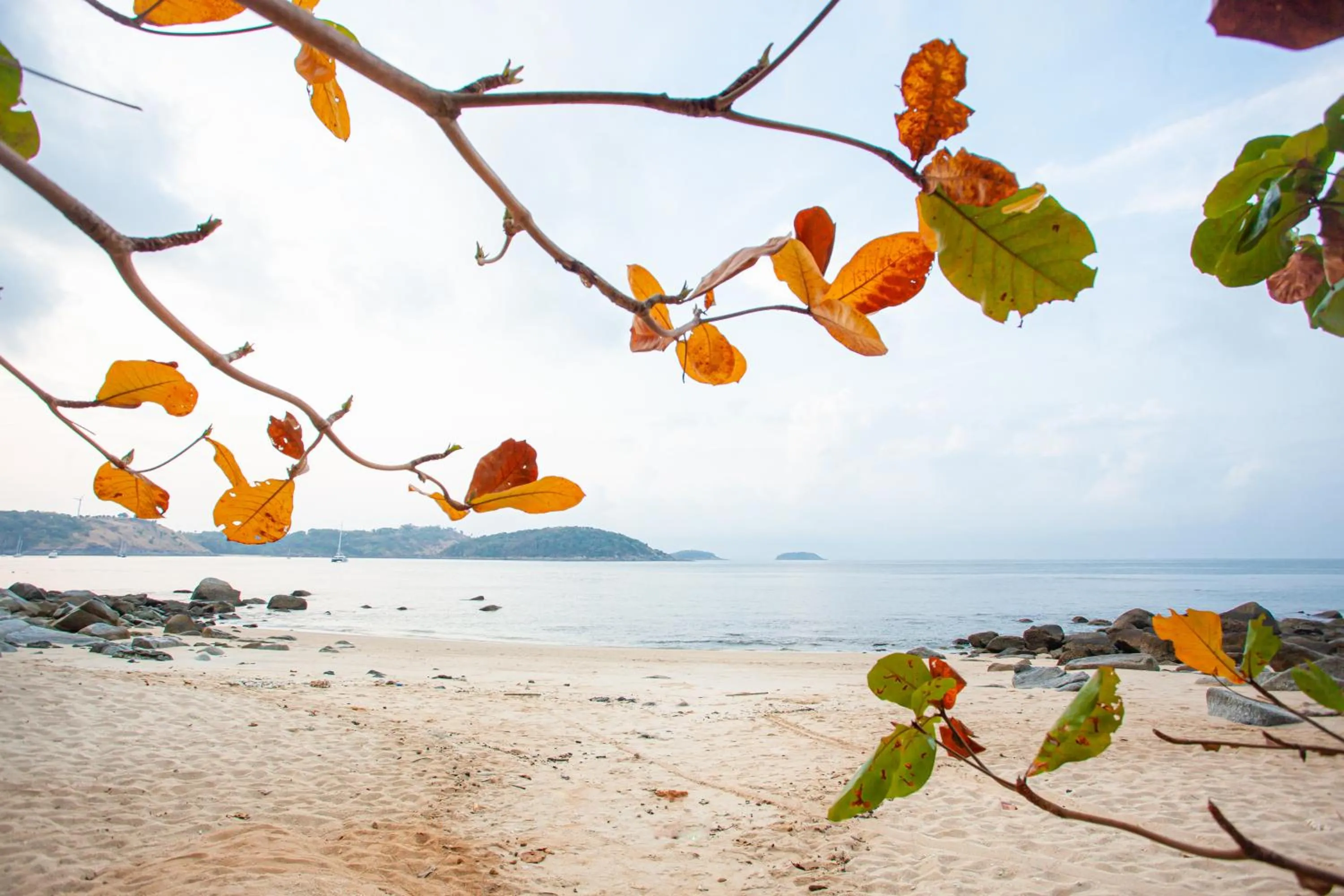 Beach in Baan Krating Phuket Resort -SHA Plus